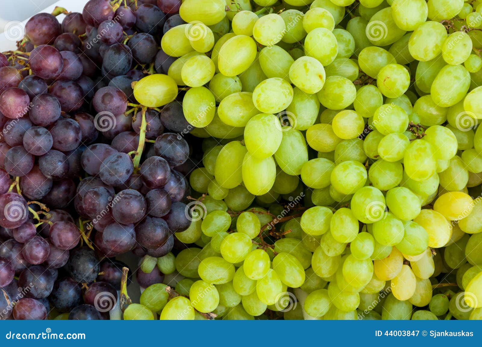 Grapes Stock Photo Image 44003847