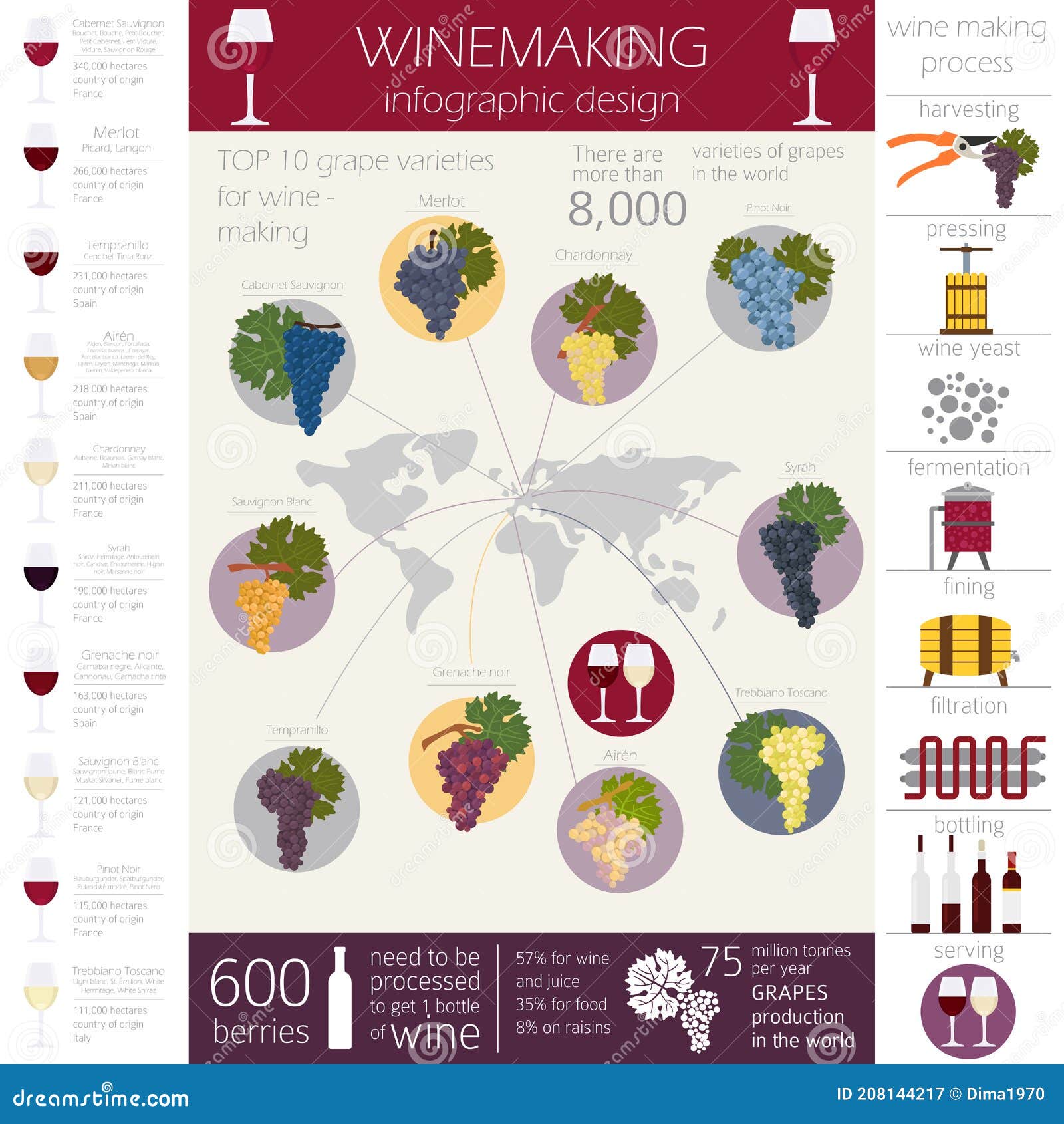 Grapes Varieties for Wine. Winemaking Infographic Stock Vector