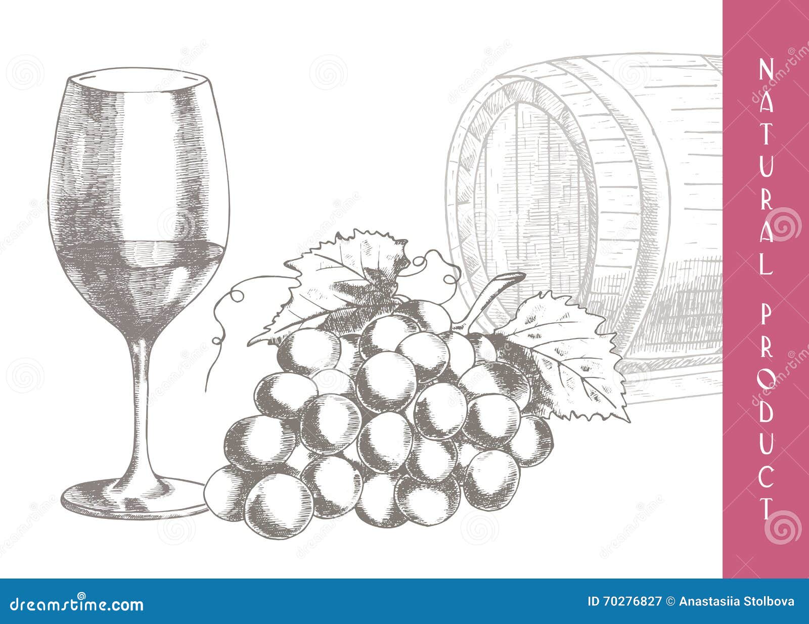 grapes wine hand drawn illustrations making 70276827