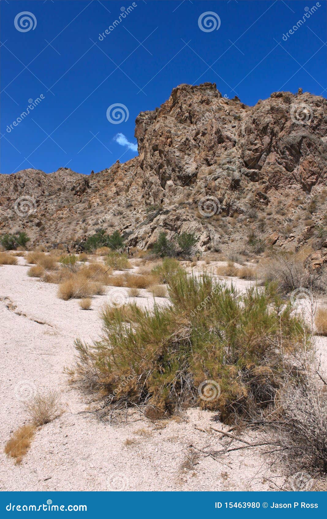 Grapevine Canyon - Nevada stock photo. Image of america - 15463980