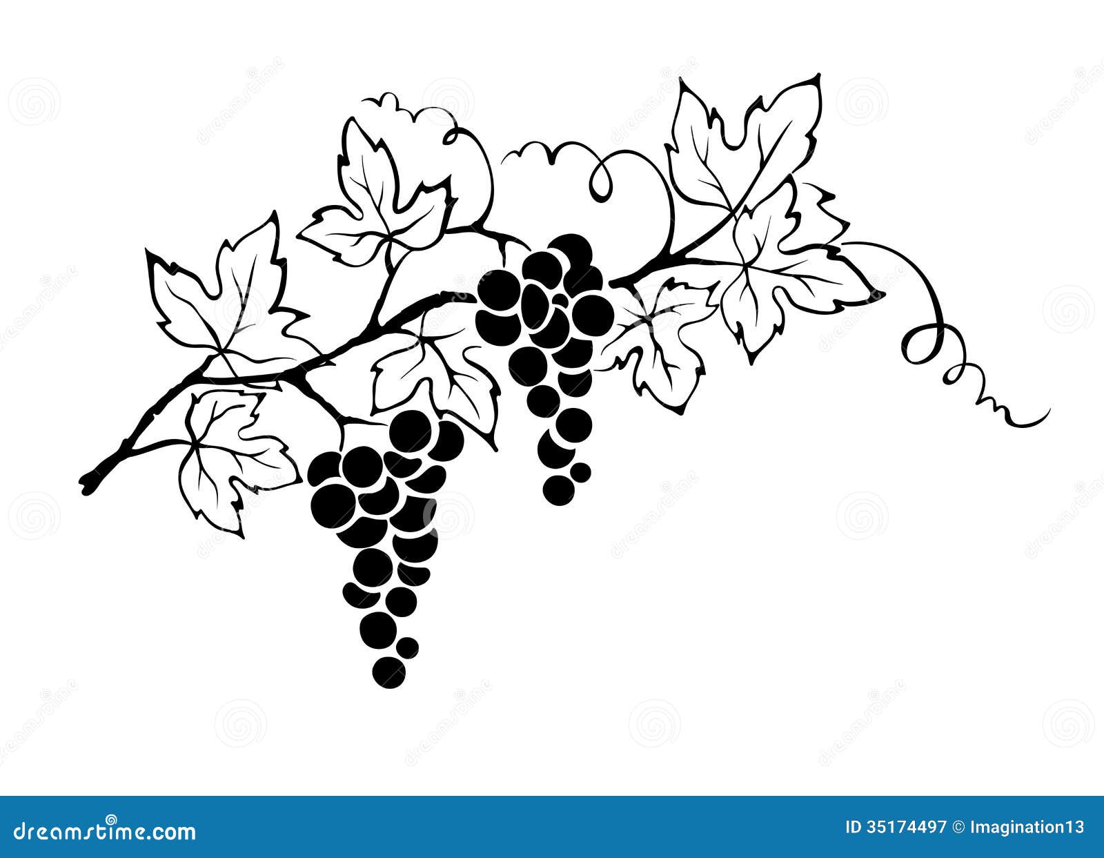 Grapevine Wine Glass Stock Illustrations – 4,712 Grapevine Wine Glass Stock  Illustrations, Vectors & Clipart - Dreamstime