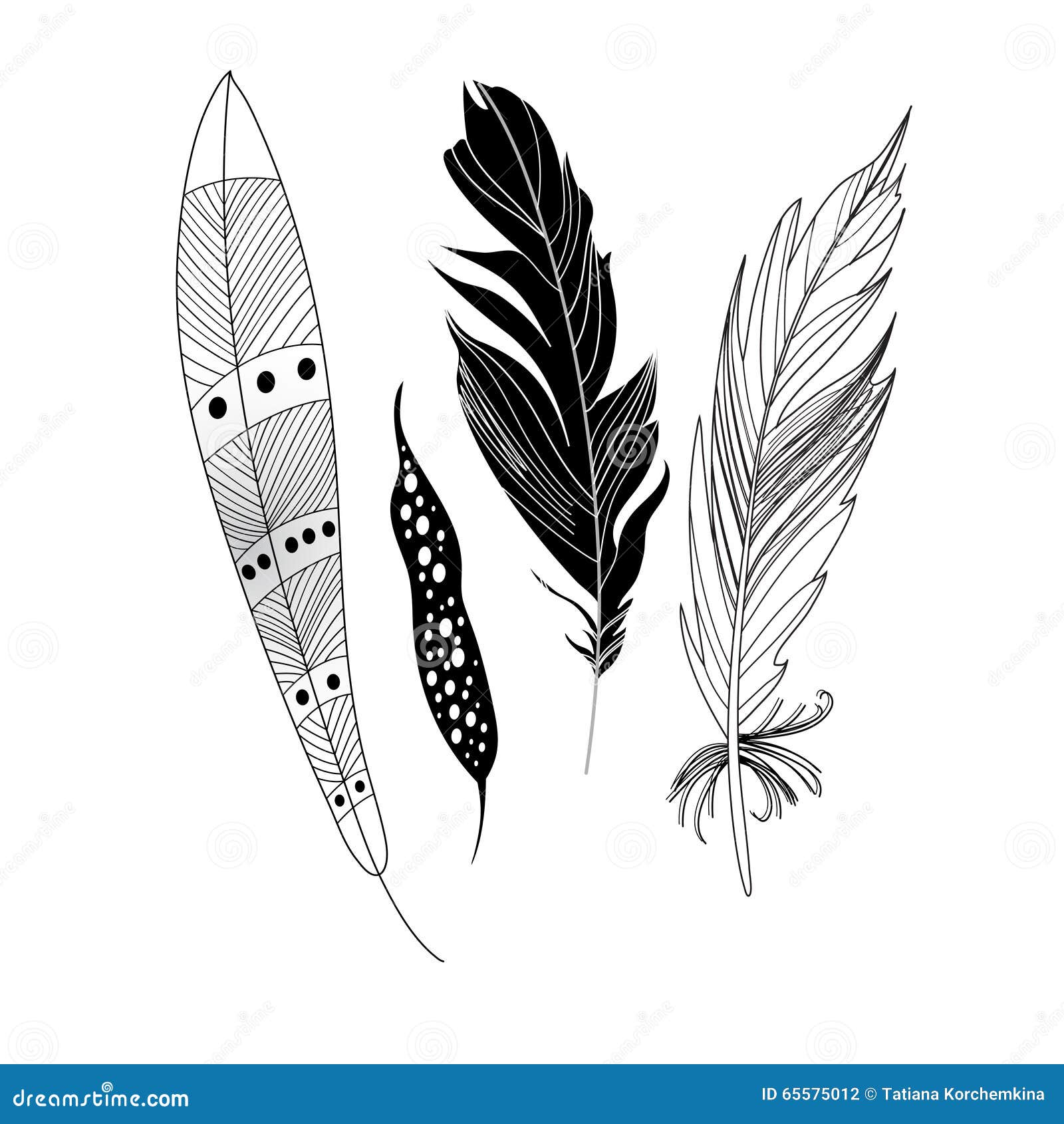 Graphic black feathers stock vector. Illustration of idea - 65575012