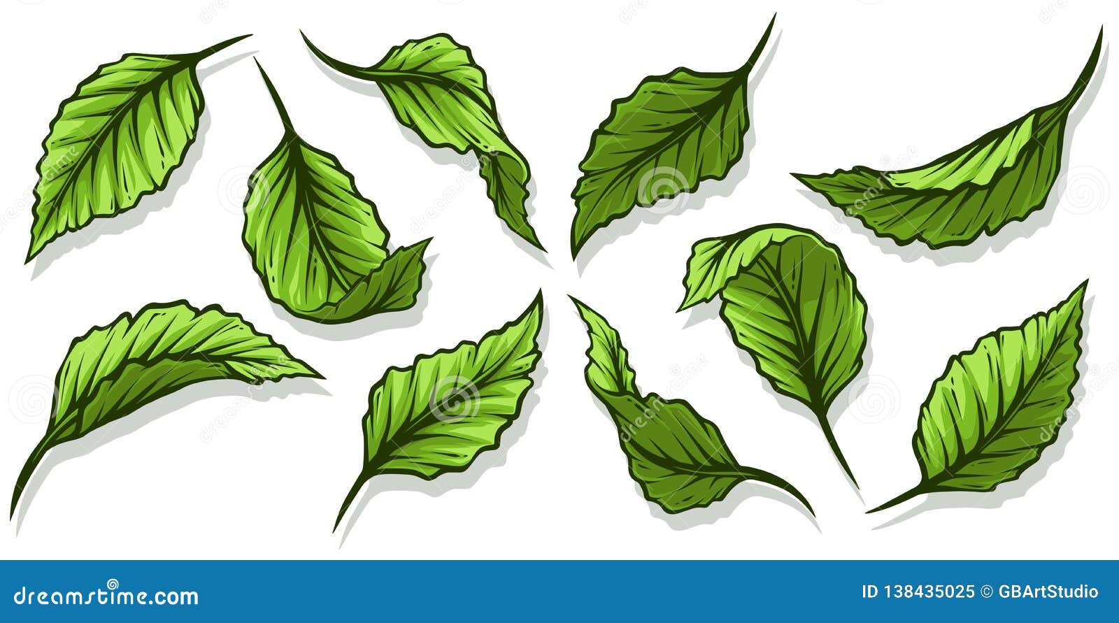 Graphic Cartoon Different Light Green Leaves Set Stock Vector - Illustration of icon, cartoon: 138435025 Graphic Cartoon Different Light Green Leaves Set Stock Vector - Illustration of icon, cartoon: 138435025