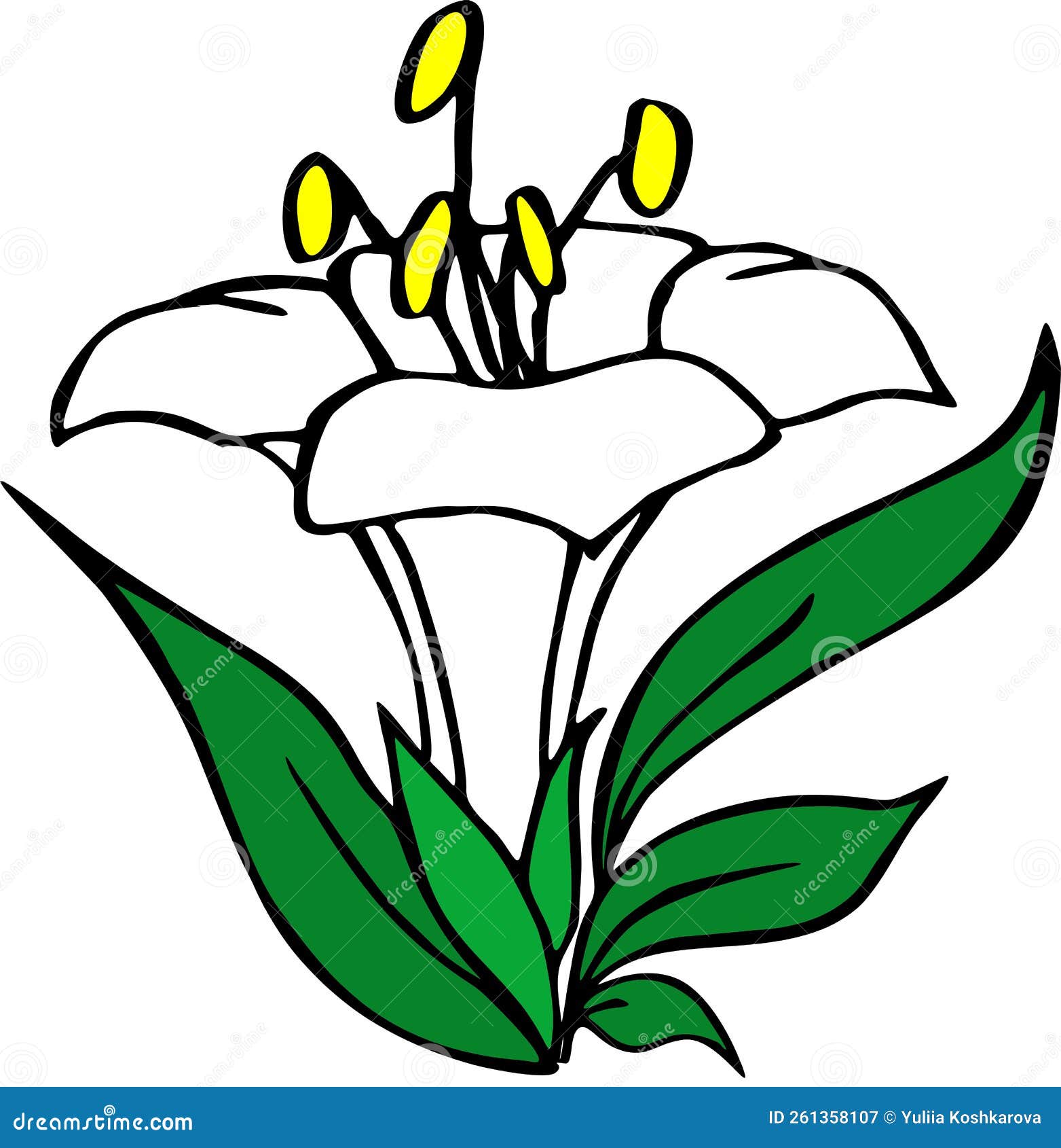 Graphic Drawing of a Large White Flower Bud with Leaves, Isolated