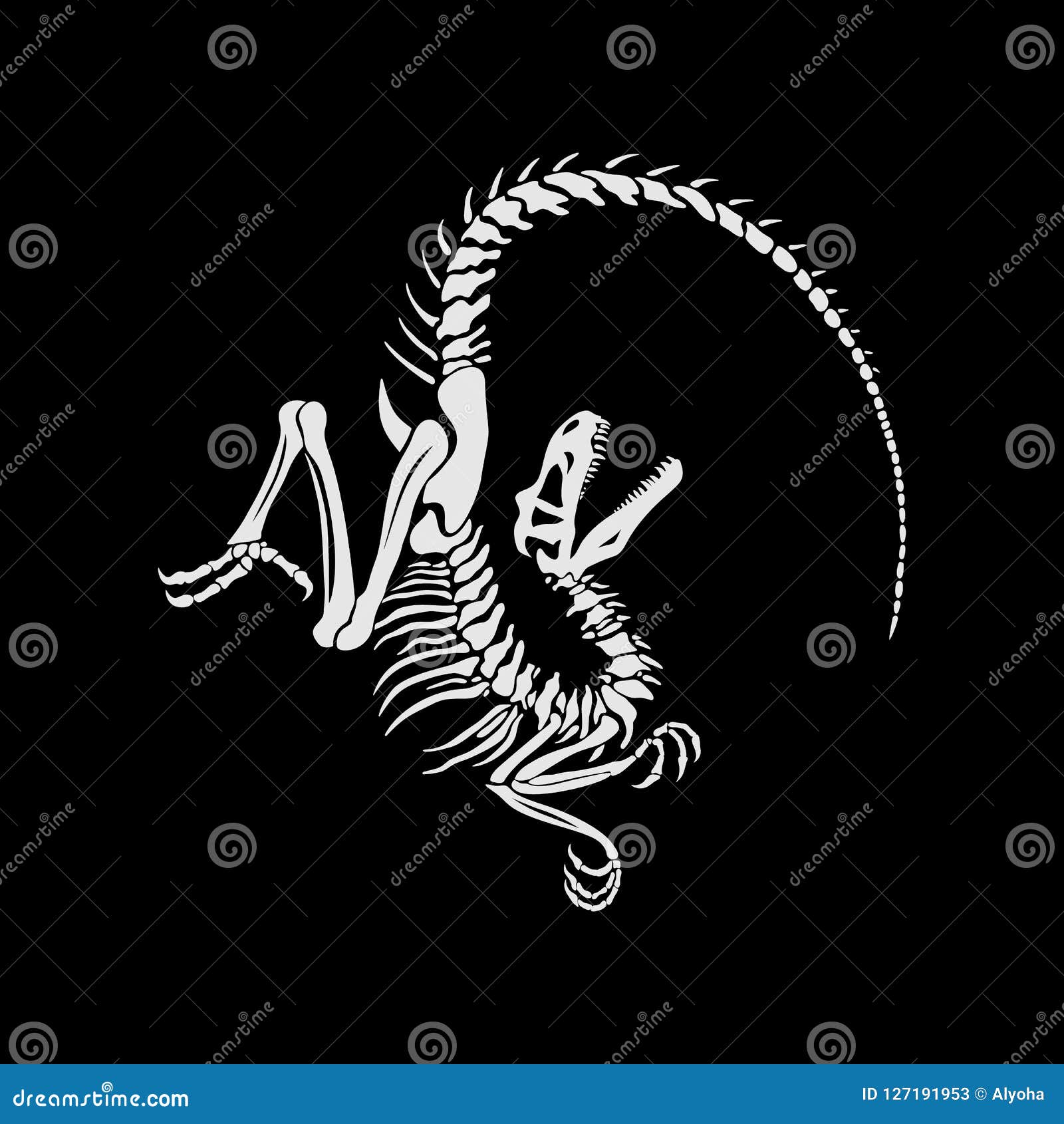 velociraptor skeleton on a black background