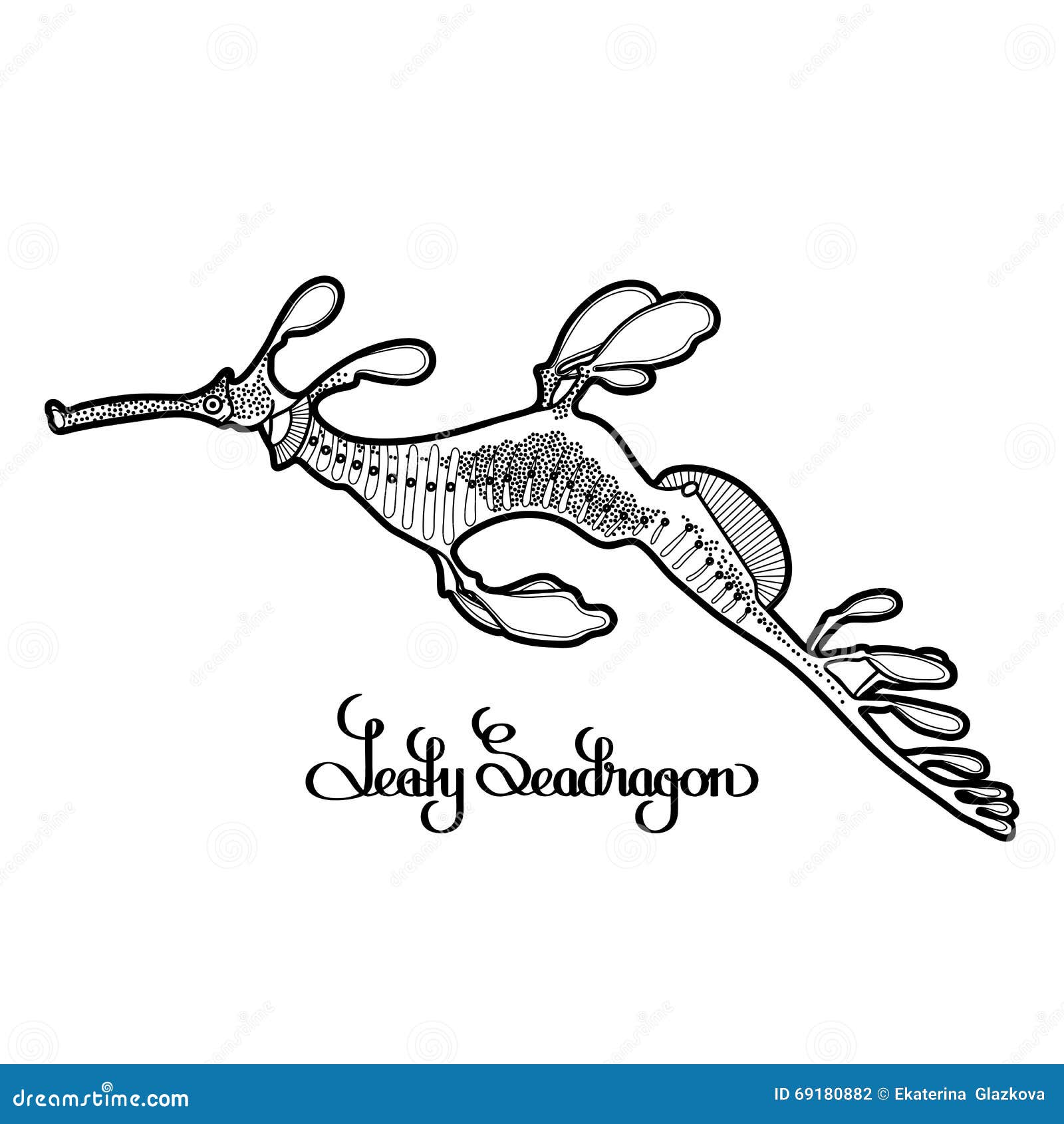Download Graphic Leafy Seadragon stock vector. Illustration of ...