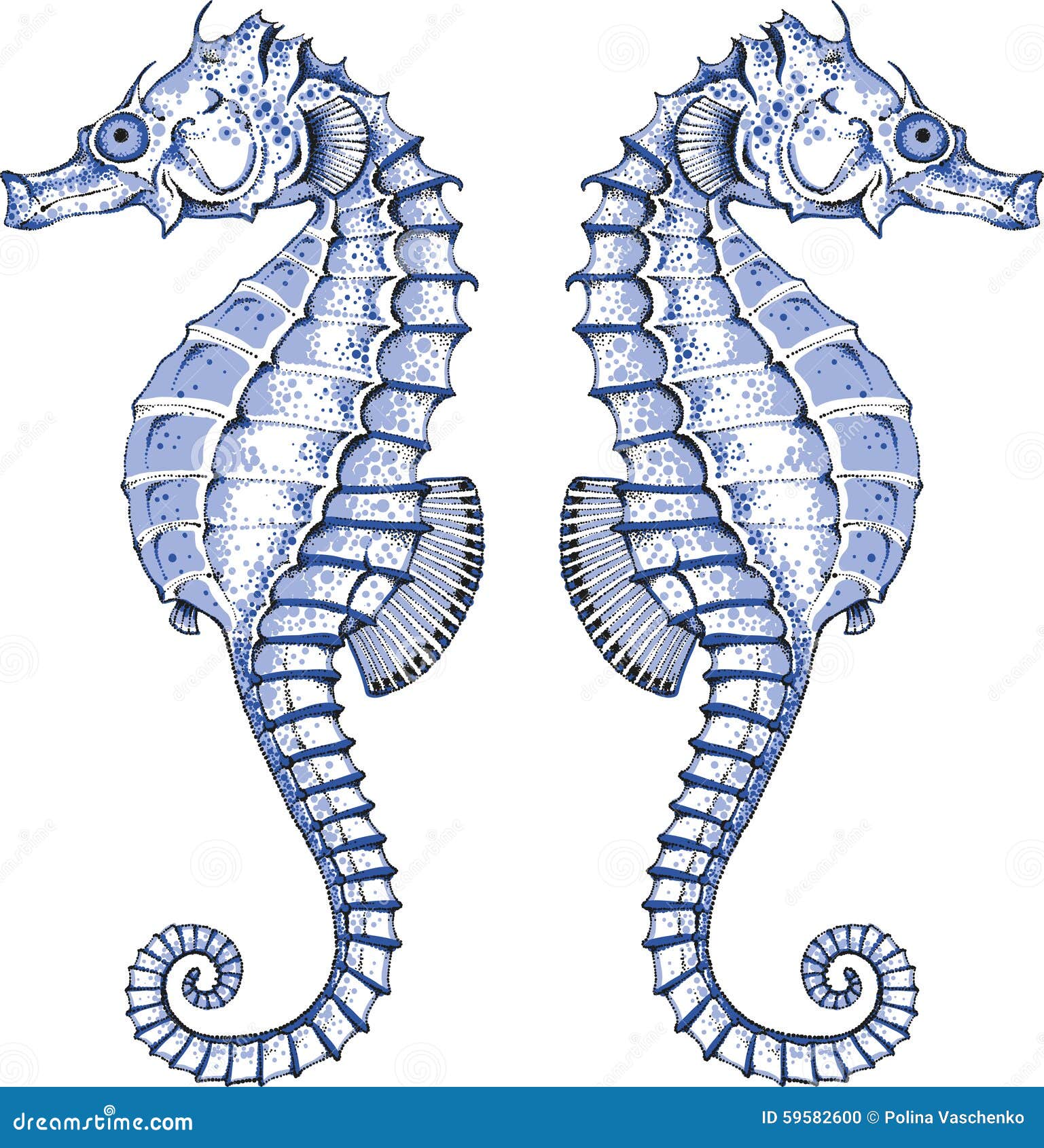 graphic seahorse