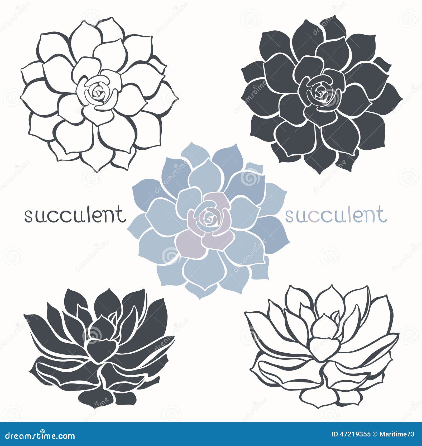 Succulents Set Stock Illustrations 5 761 Succulents Set Stock Illustrations Vectors Clipart Dreamstime