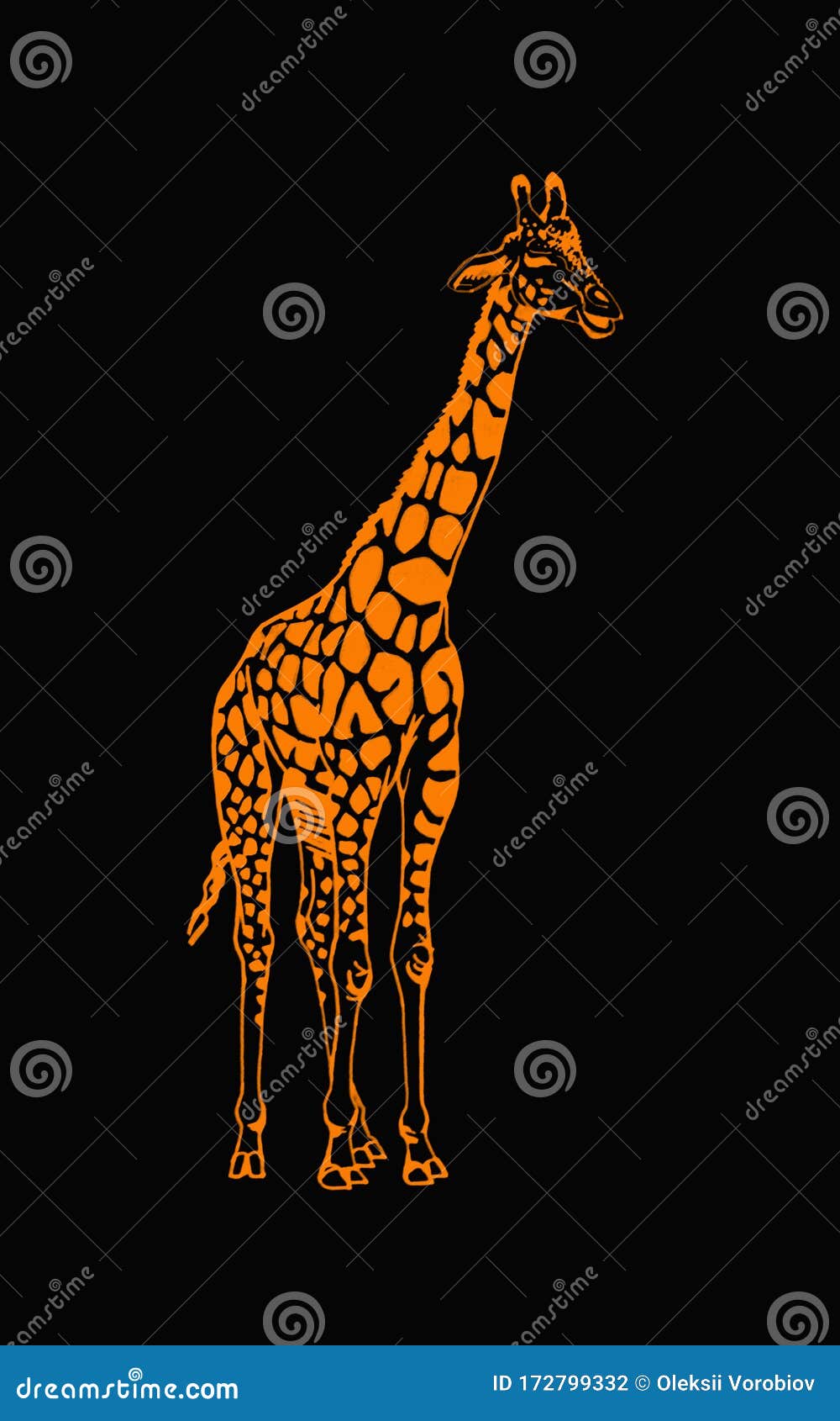 graphical color zebra, pop art  for cover and typography, 