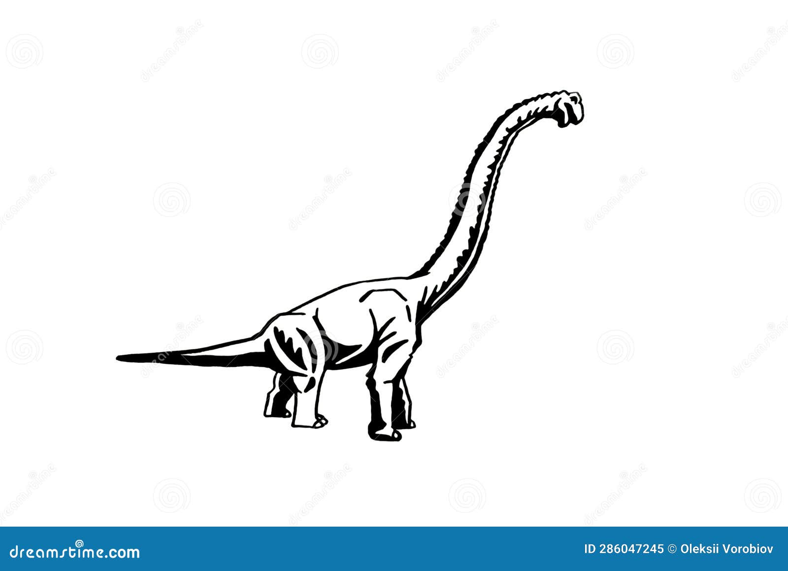 Diplodocus Black and White Stock Photos & Images - Alamy