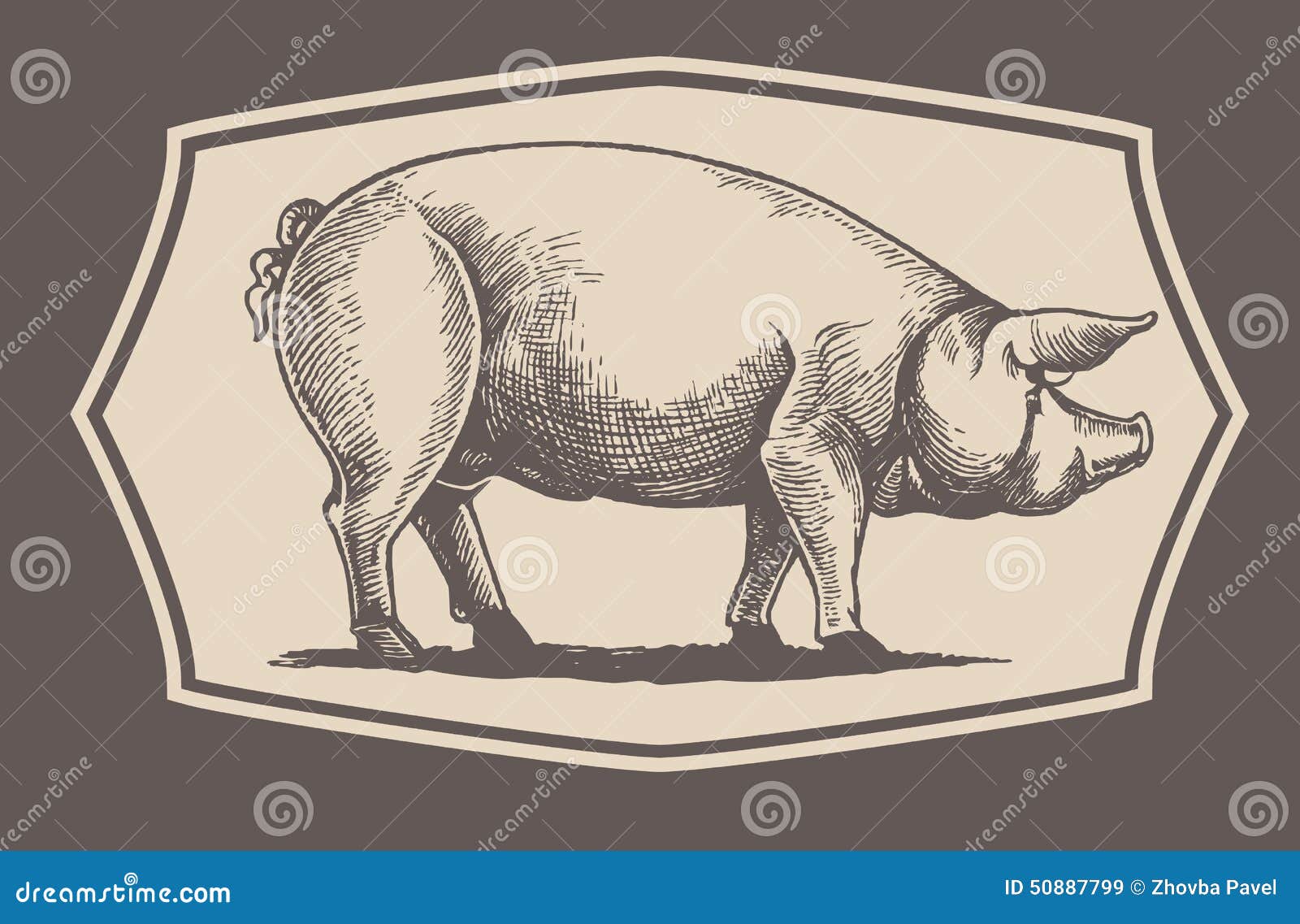 graphical pig in frame