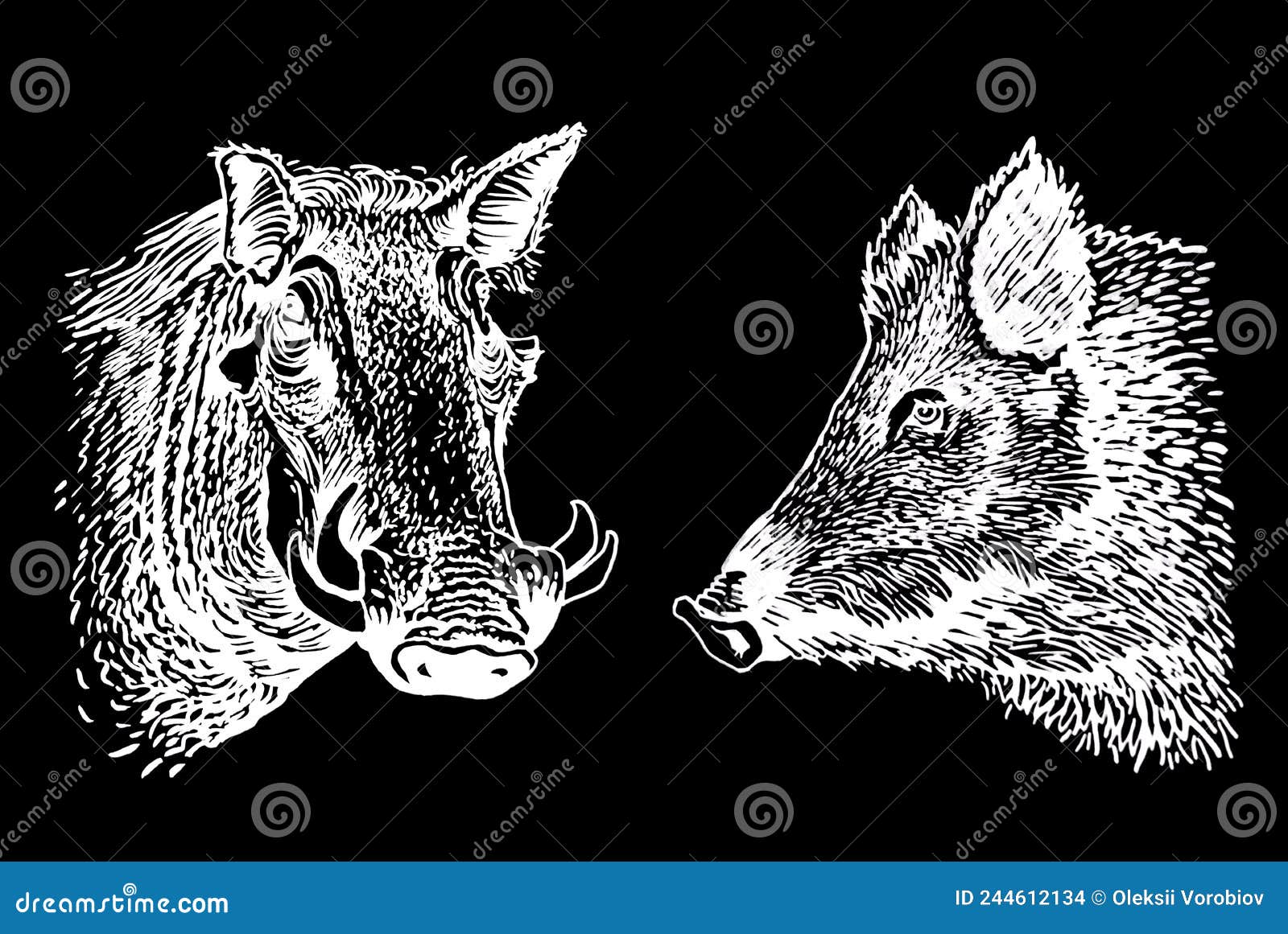 Wild Hogs Newskool Tattoo Set. Set Of Labels And Elements. Vector Set