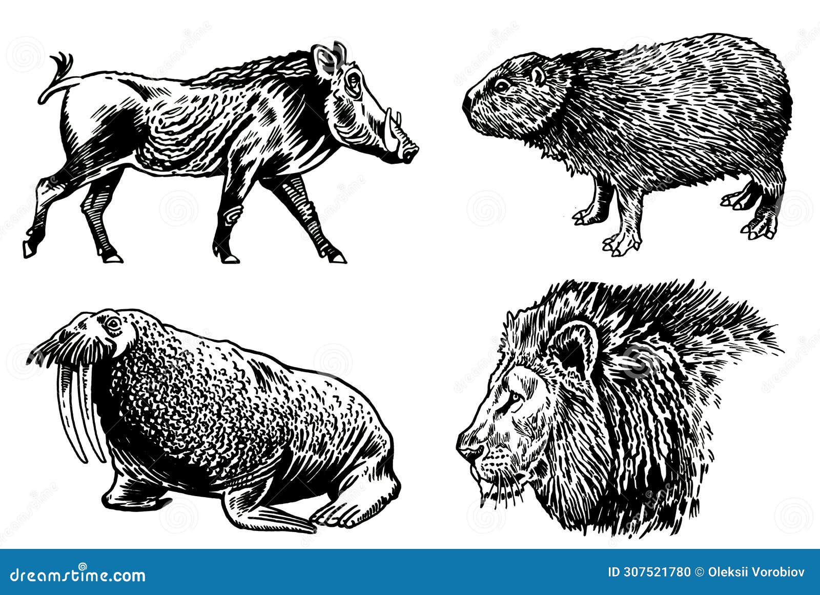 graphical set of animals on white background,  s