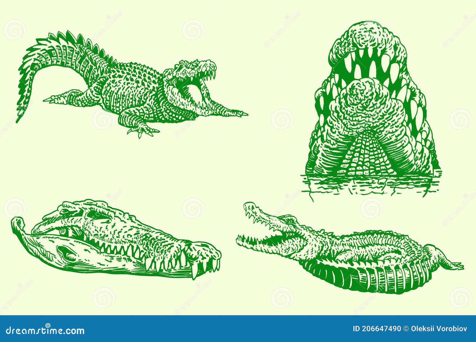 Graphical Set of Green Crocodiles, Vector Illustration Stock