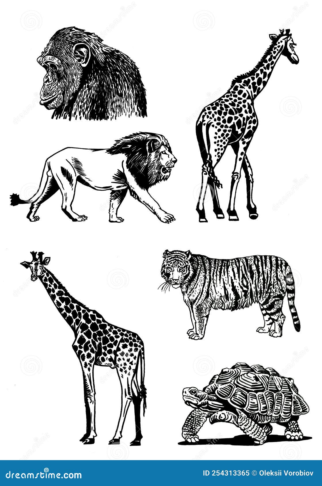 Graphical Set of Wild Animals Isolated on White,vector Illustration. Handdrawn Elements of the