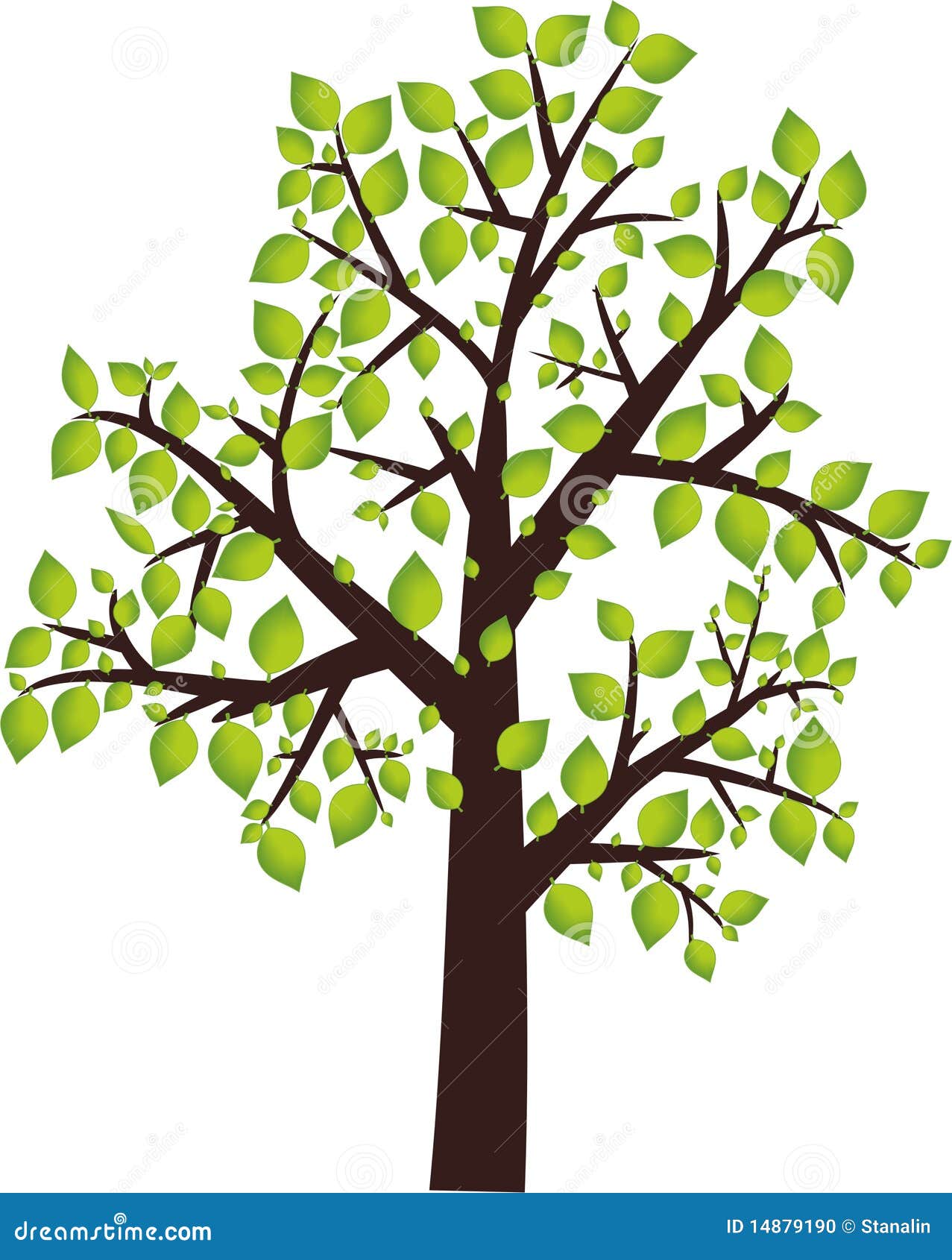  Graphisme  d arbre illustration stock Illustration du 
