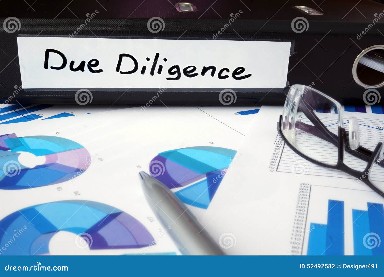 Due diligence business plan