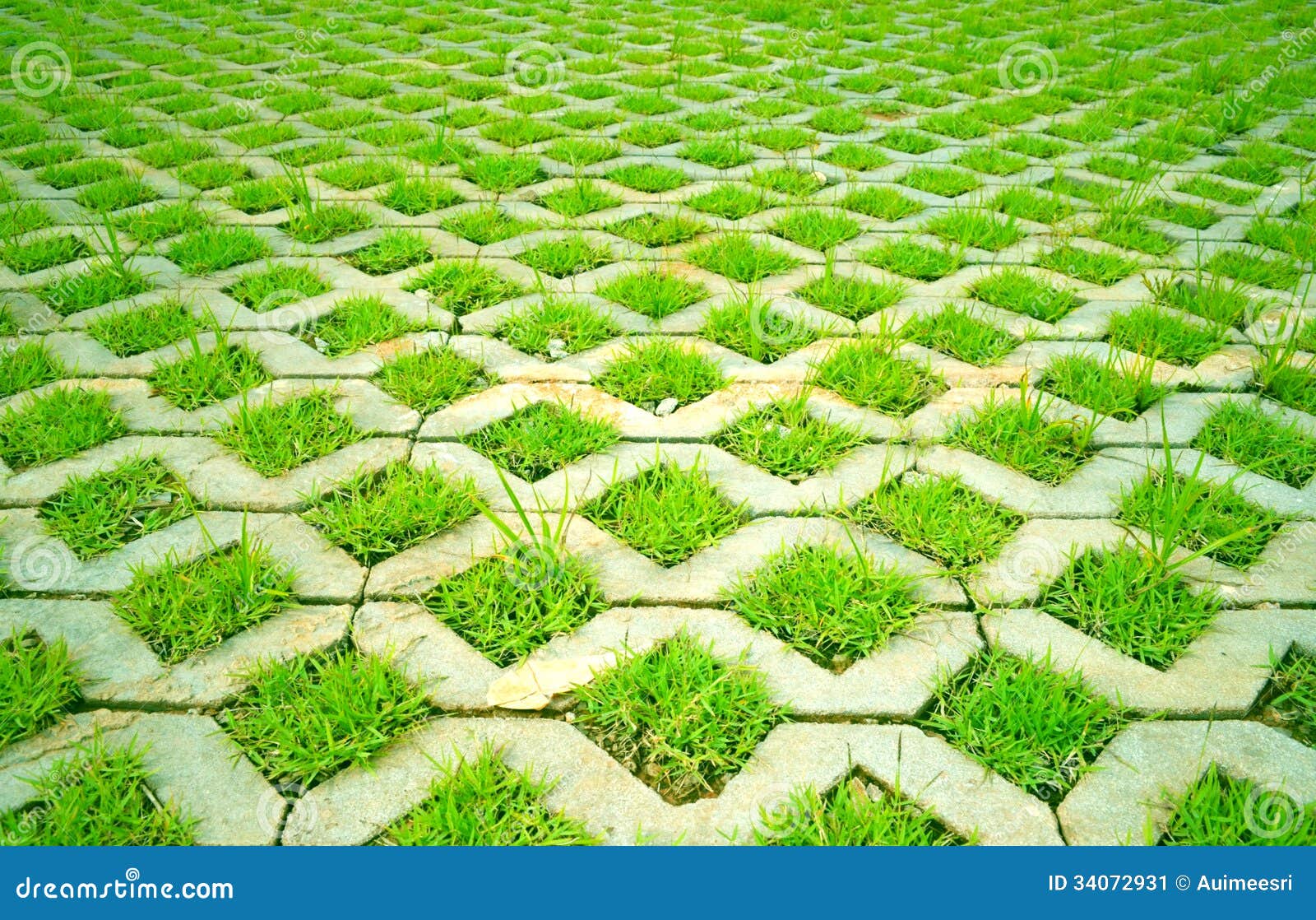  Gras  im Beton  stockbild Bild von outdoor konkret wiese 