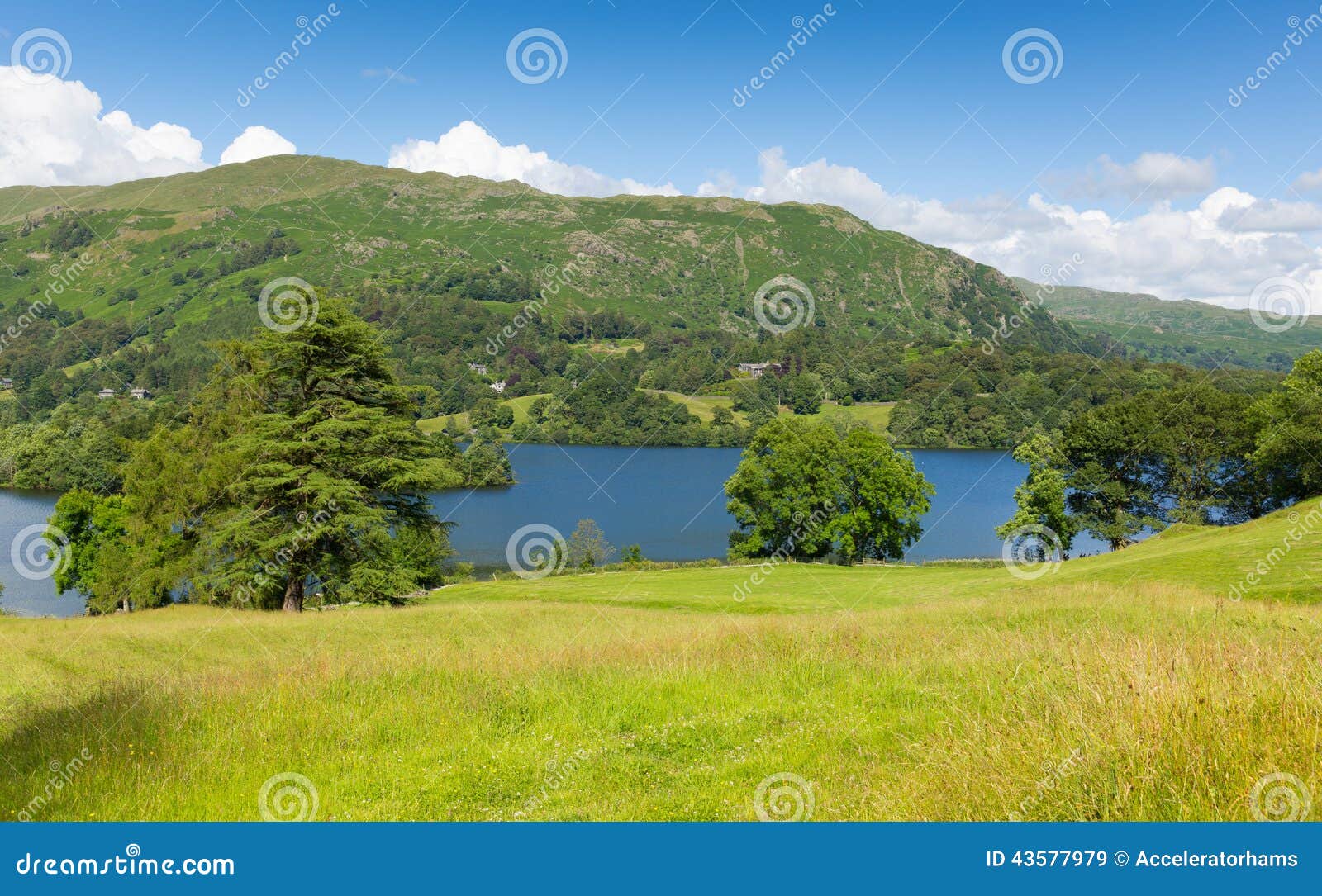 Grasmere Lake District Cumbria England UK Stock Image - Image of nature ...