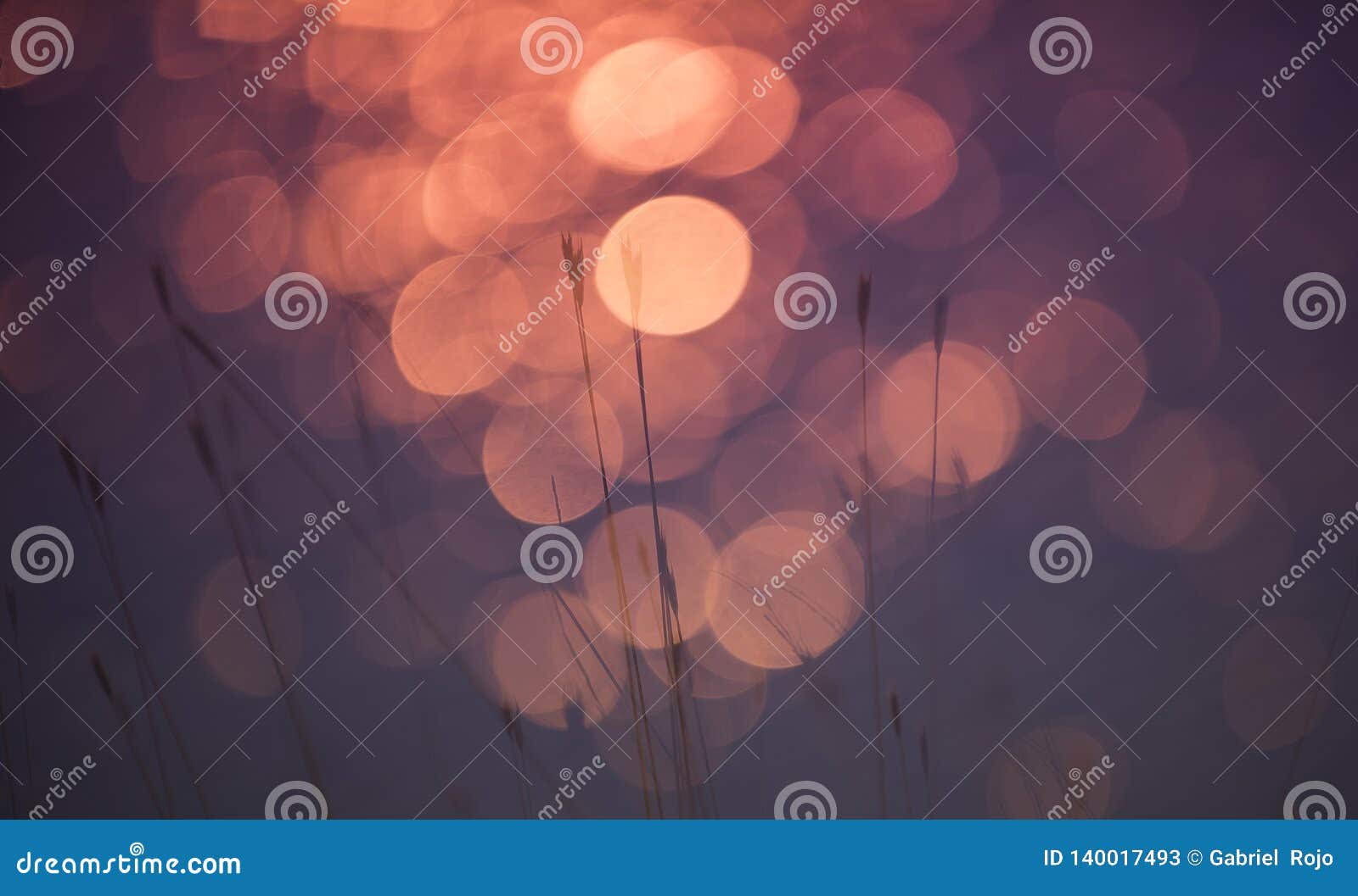 grass, abstract, background..