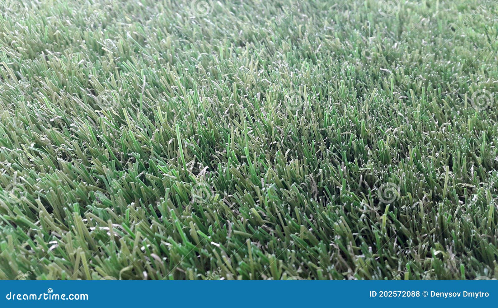 Grass. Artificial Grass. Abstract Background. Banner. Grass Cover Stock