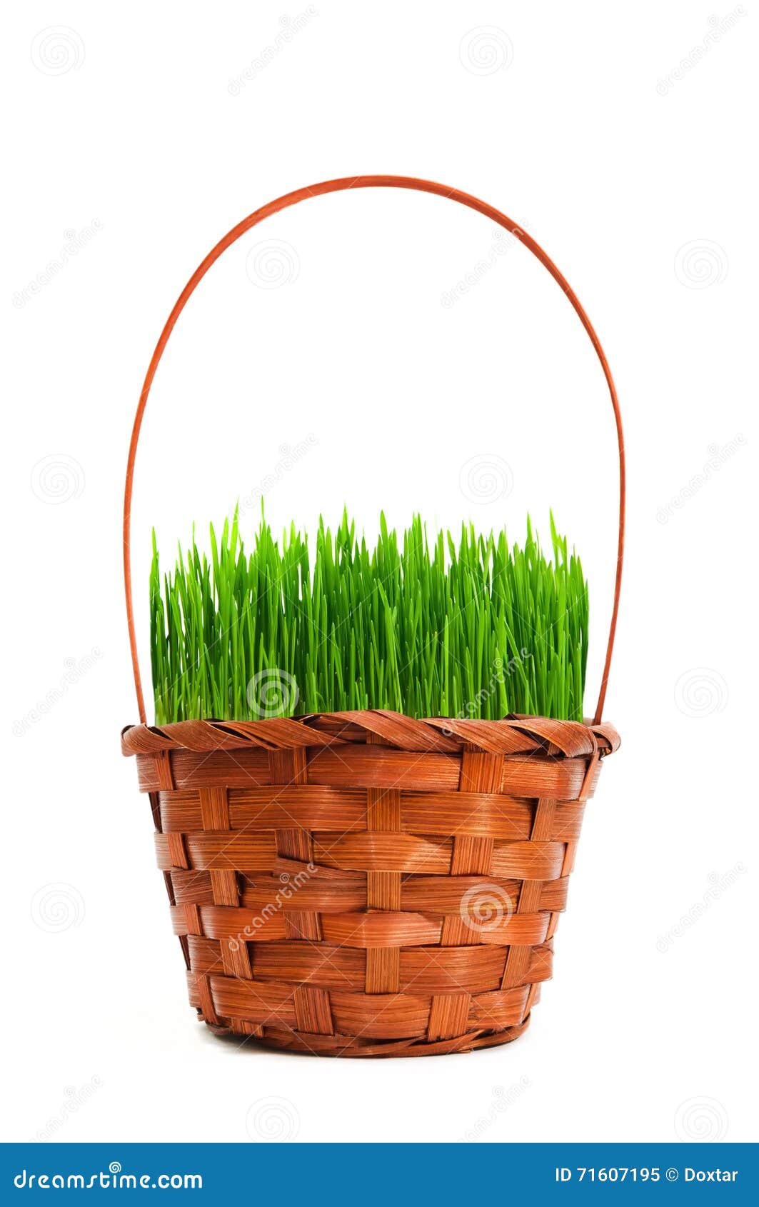 The grass in basket stock image. Image of empty, growing 71607195