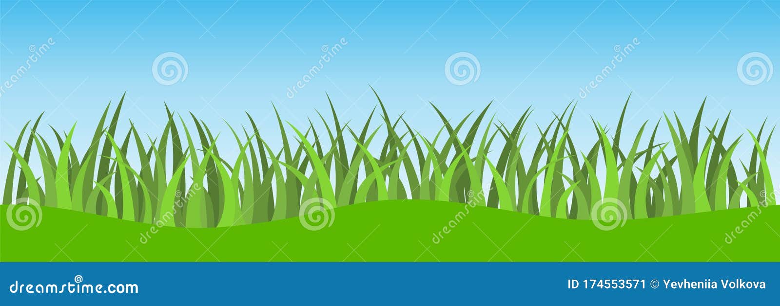grass and blue sky . grass background weeds 