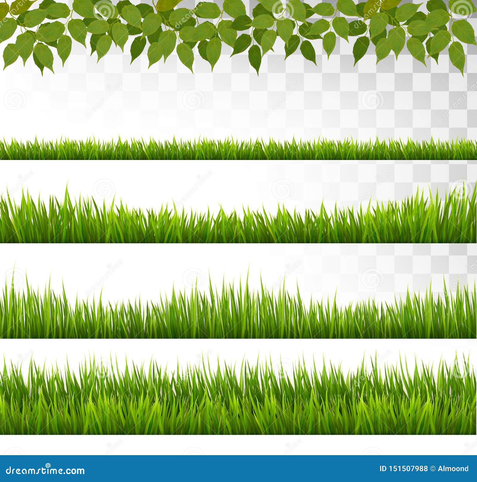Grass Border Big Collection. Vector Stock Vector ...