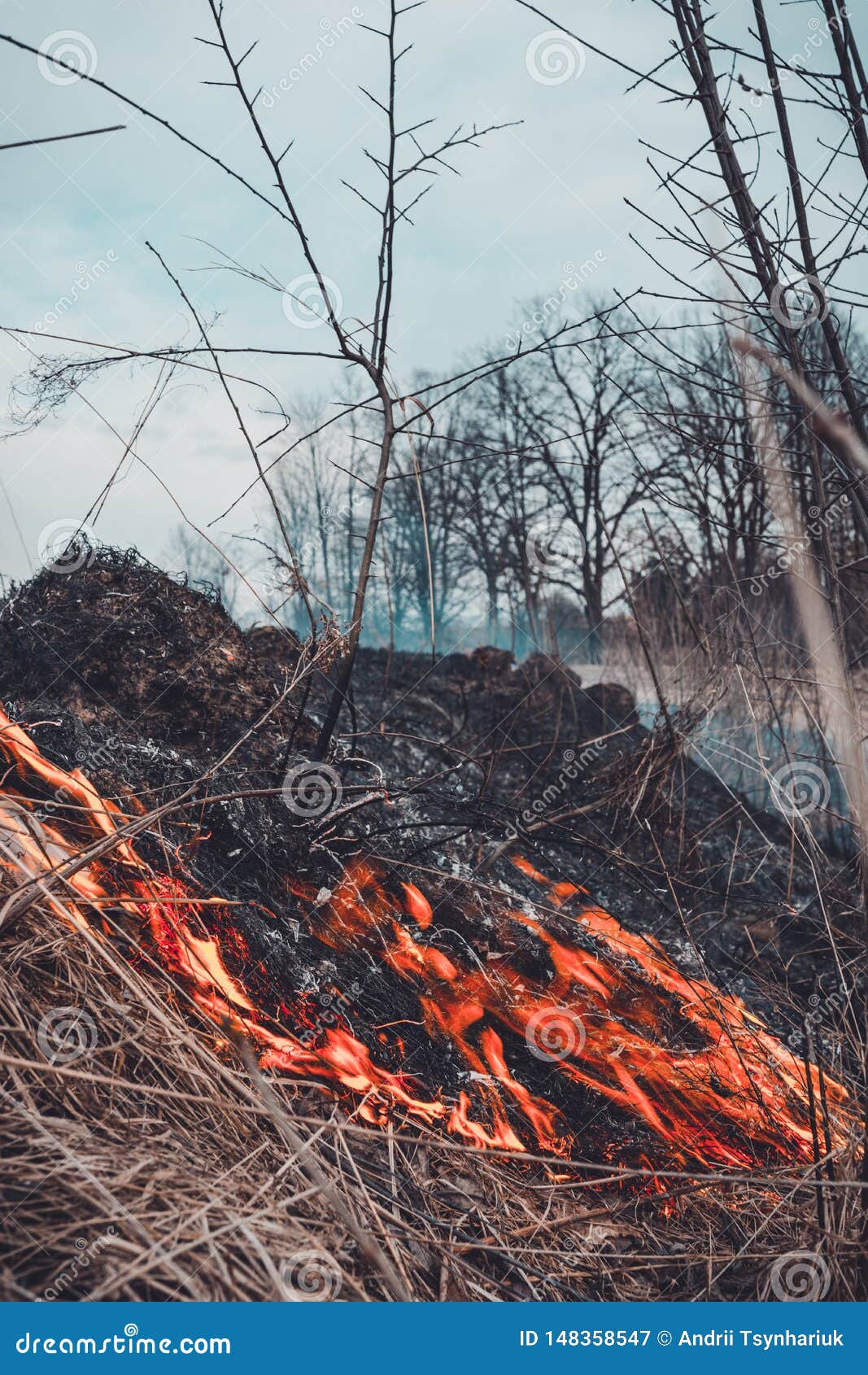 The Grass is Burning, the Fire of Which Destroys Everything in Its Path