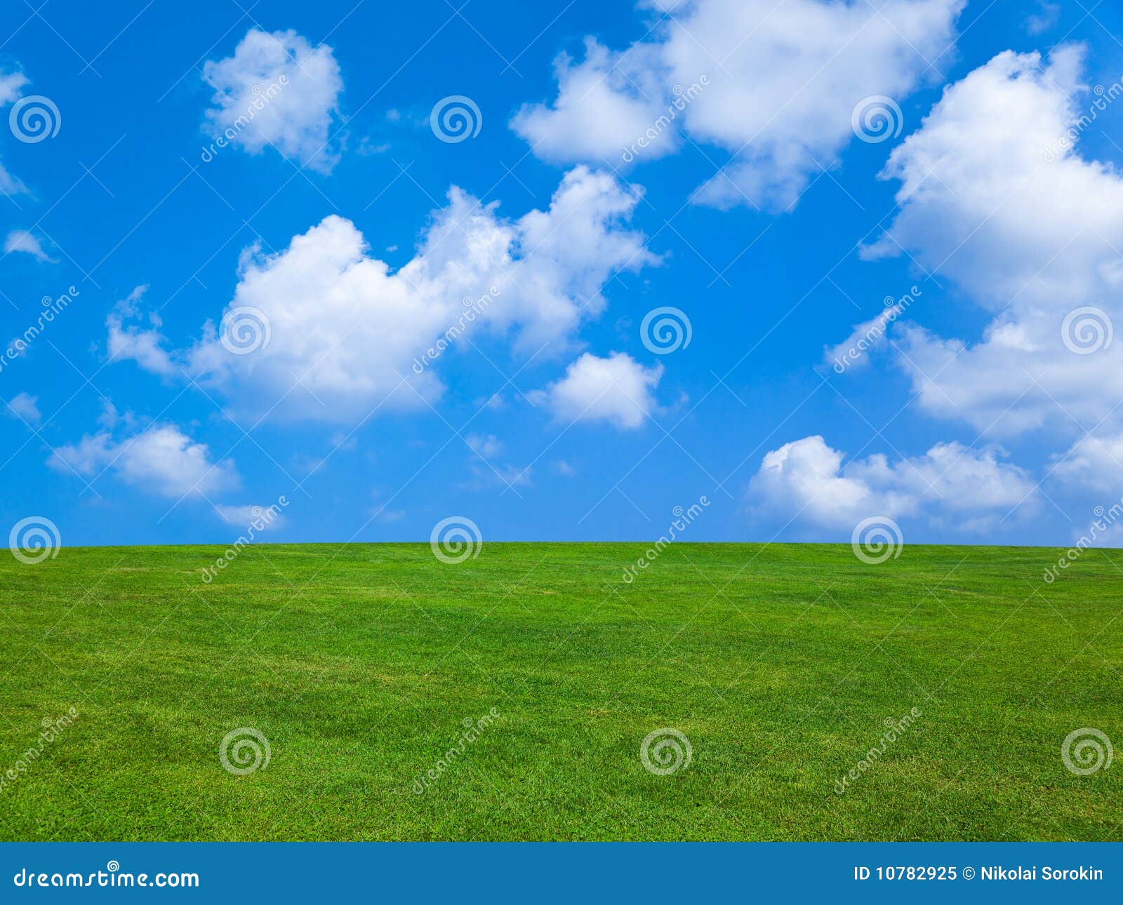 grass and cloudy sky