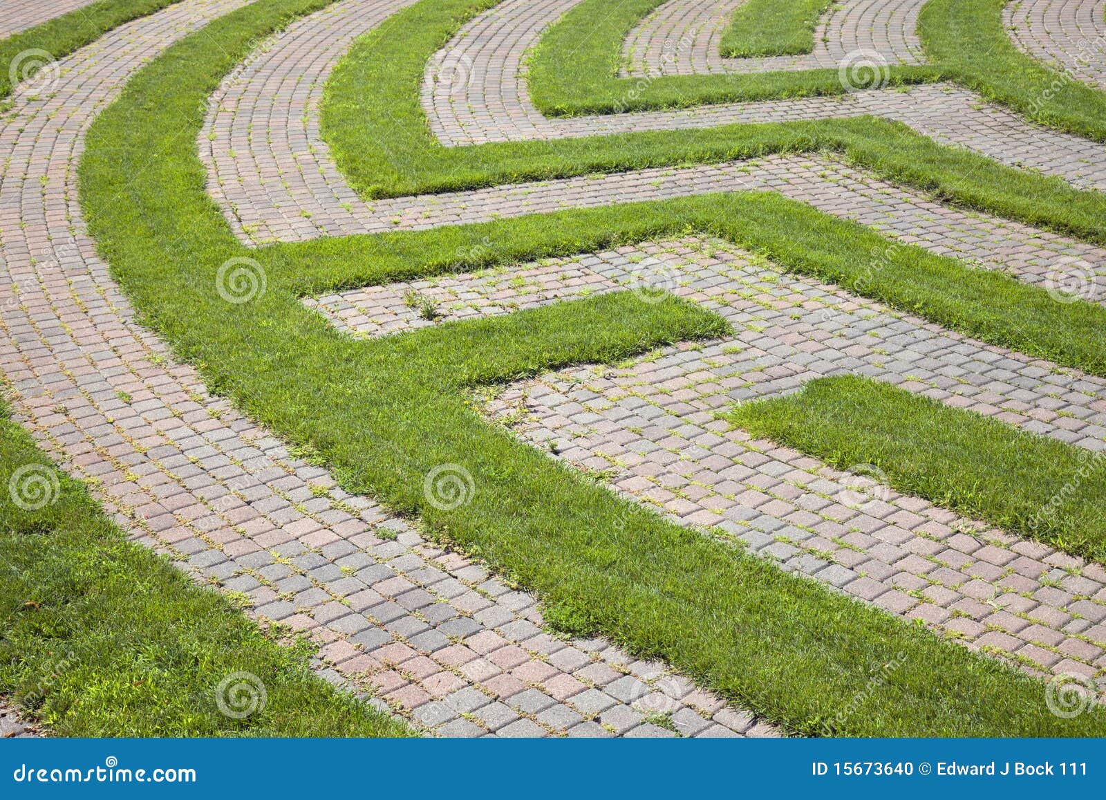 grass and cobblestone maze
