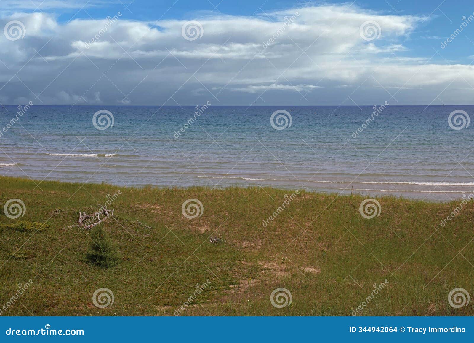 grass covered sand dune leading to lake michigan, in kohler andrae state park, sheboygan, wisconsin