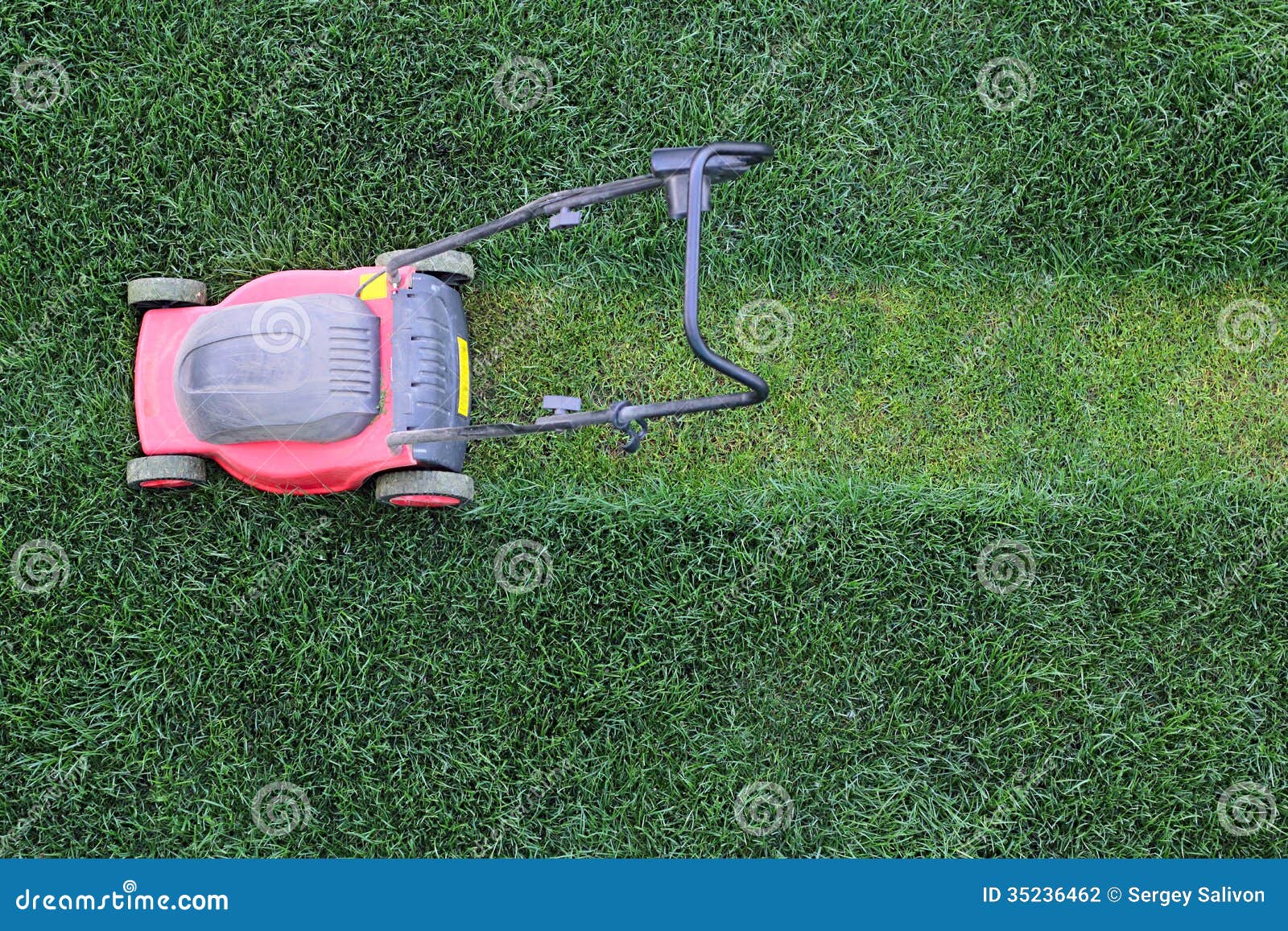 Grass cutter at the lawn stock photo. Image of growth 35236462