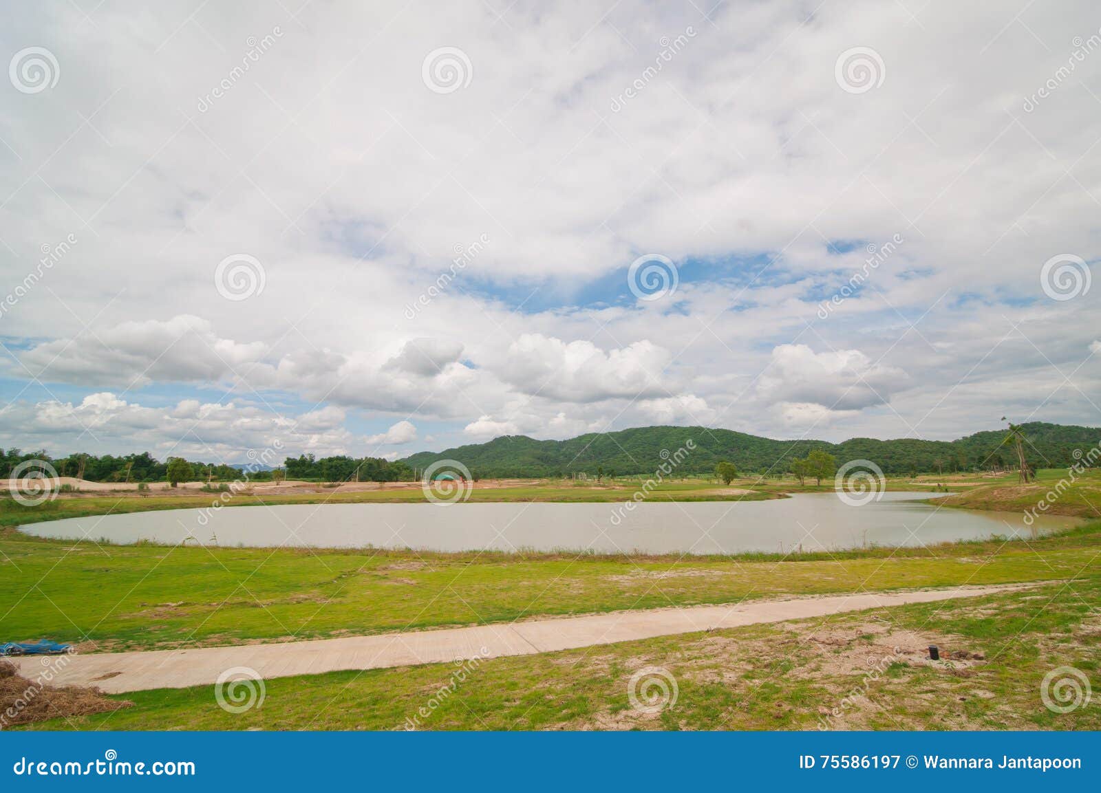 Grass on dry lawn stock image. Image of feed, area, green 75586197