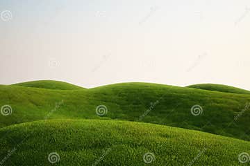 Grass field stock illustration. Illustration of horizon - 8454062