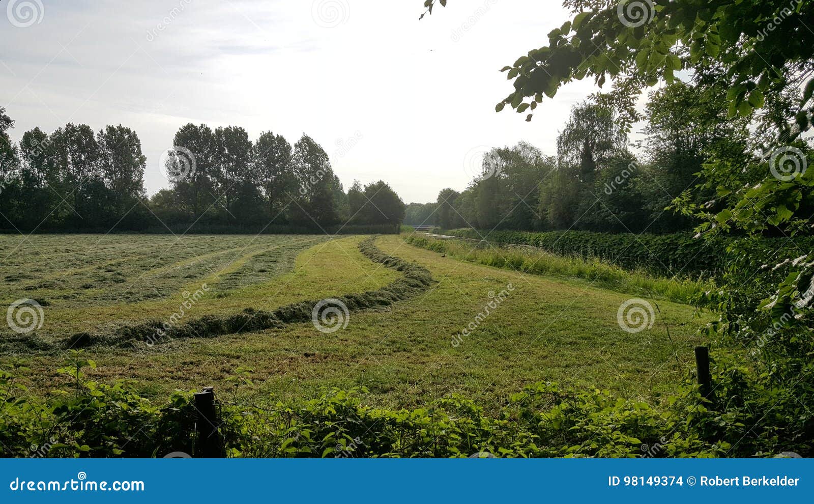 Grass Field Nearby A Creek Stock Photo Image Of Hanging 98149374