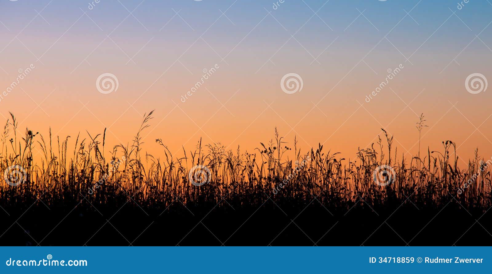 Grass field silhouette stock image. Image of landscape 34718859