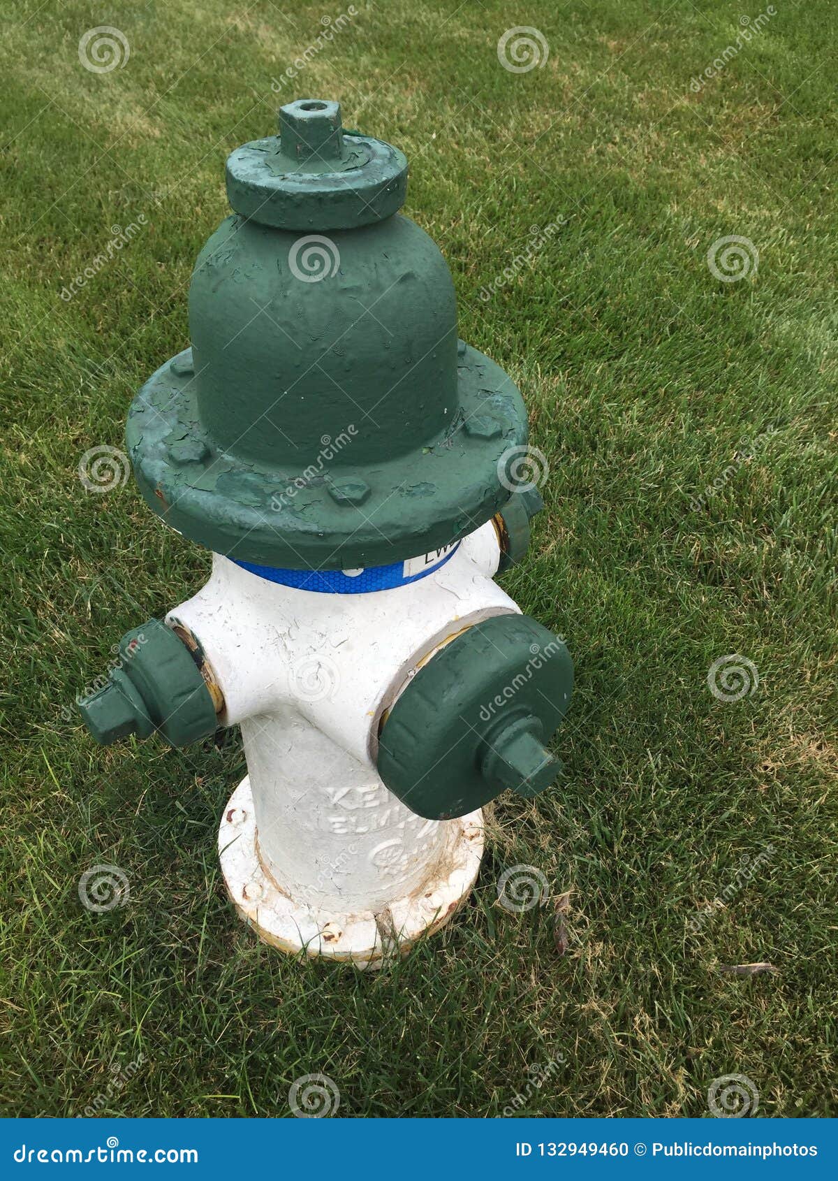 Grass, Fire Hydrant, Lawn, Garden Picture. Image 132949460