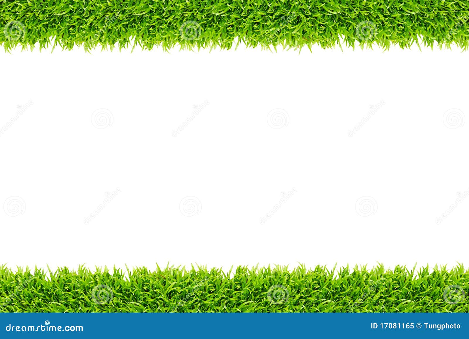 fun english for printables Image: Free Grass Frame Photo 17081165  Stock Isolated Royalty