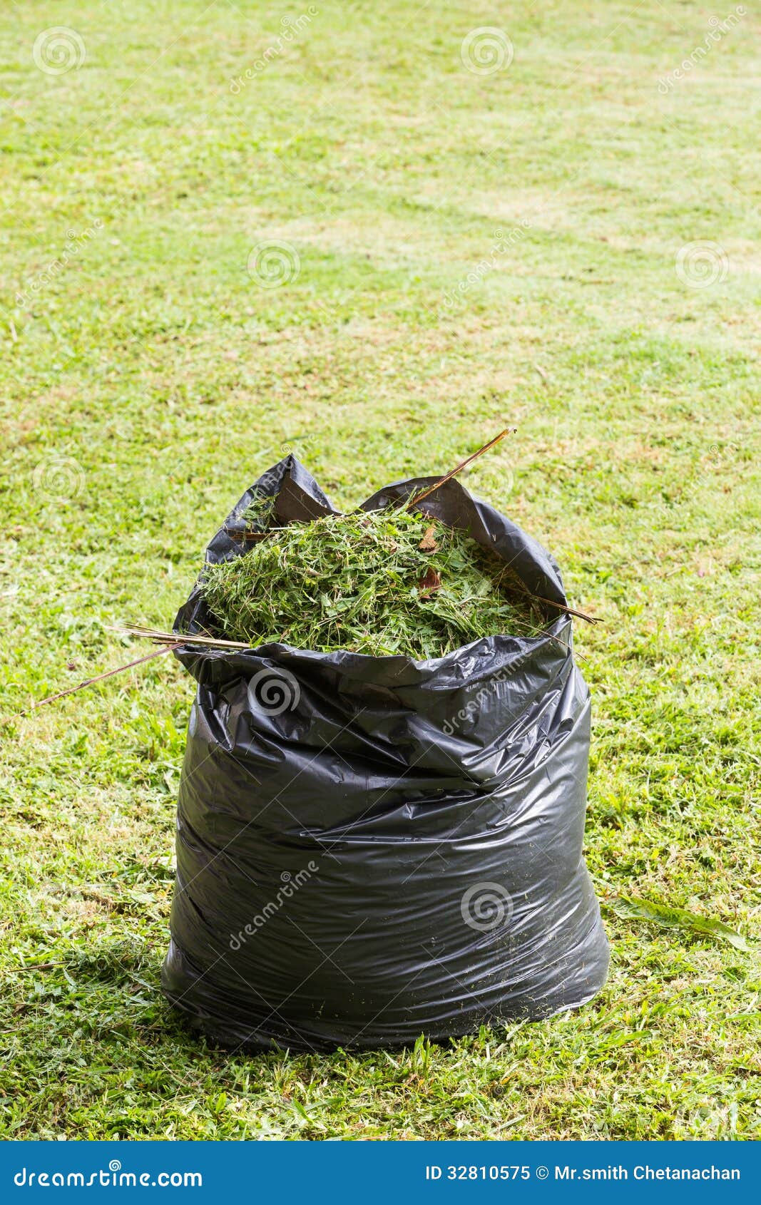 Grass in garbage bag stock image. Image of heap, garbage 32810575