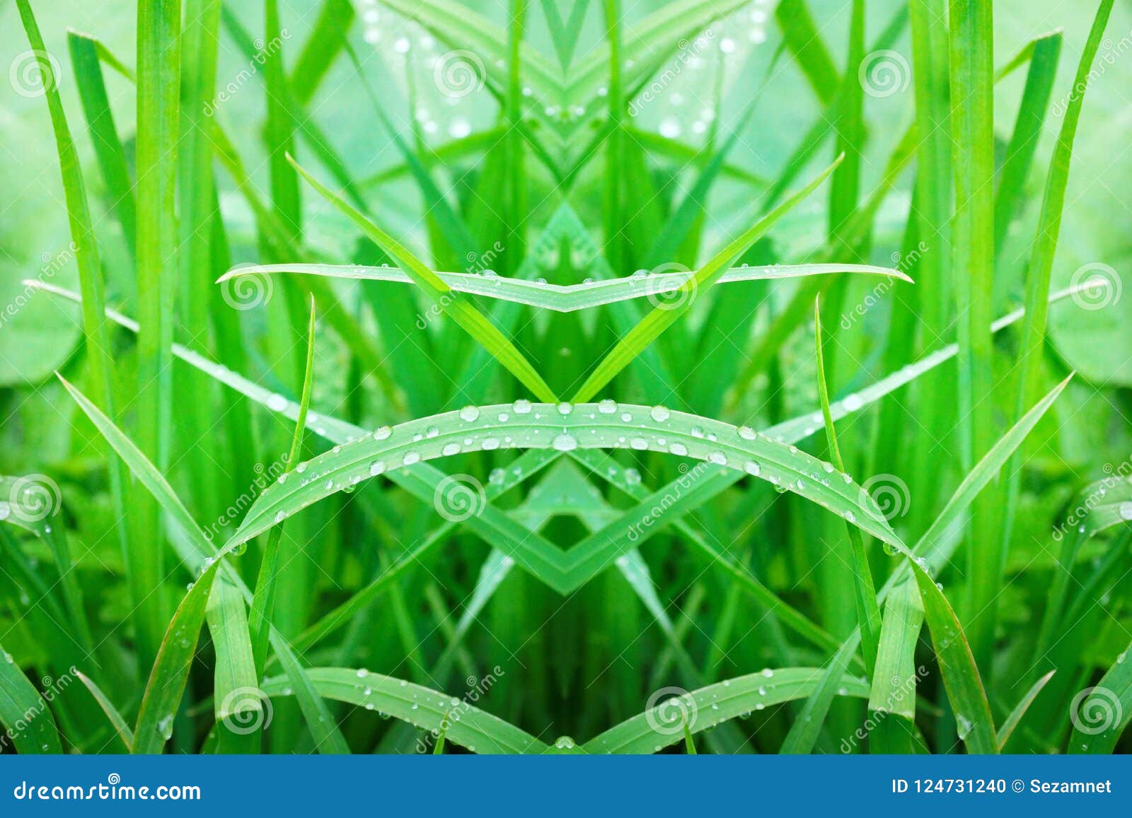 grass geometry figure reflection s  logo on wooden bo