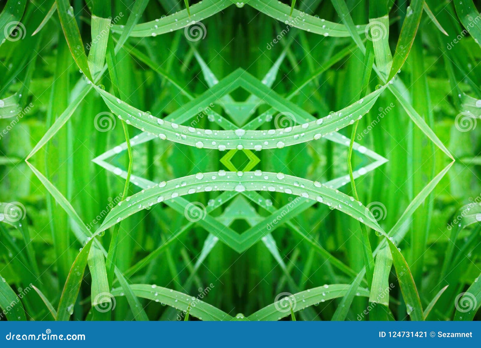 grass geometry  reflection s  logo. ecology, health, green energy concept.