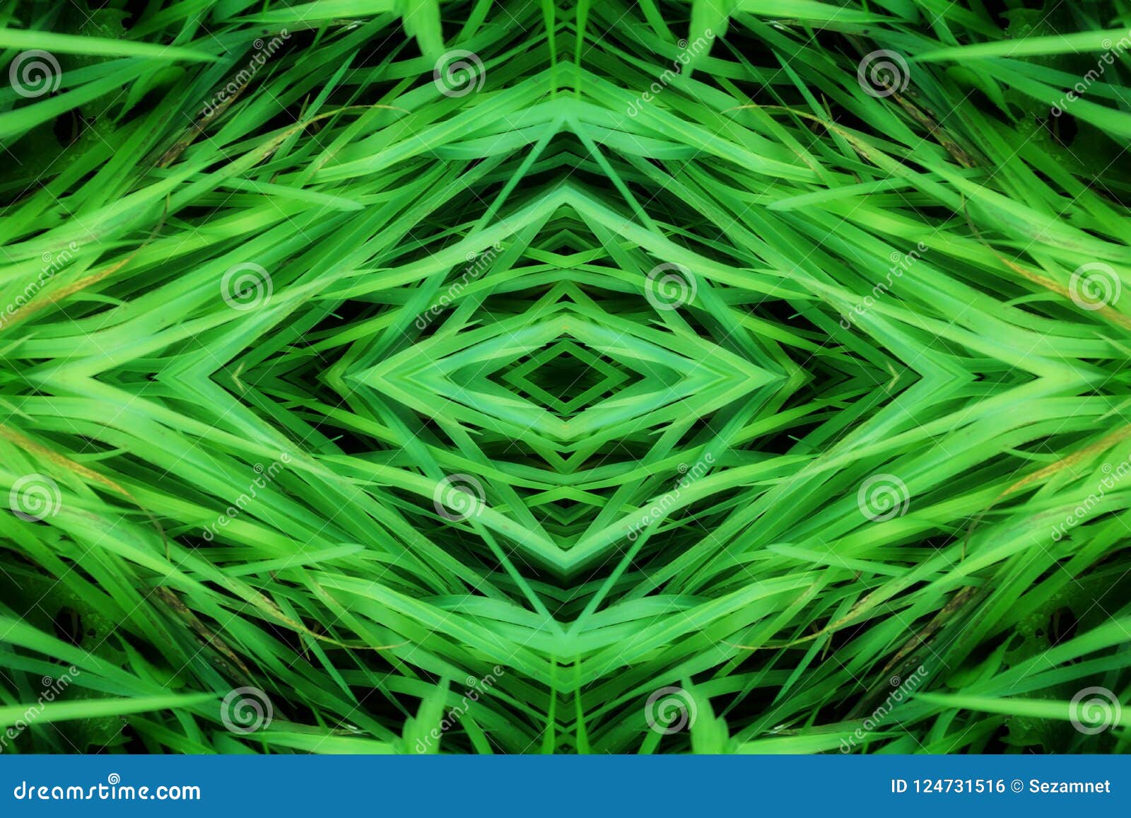 grass geometry  reflection s  logo. ecology, health, green energy concept.