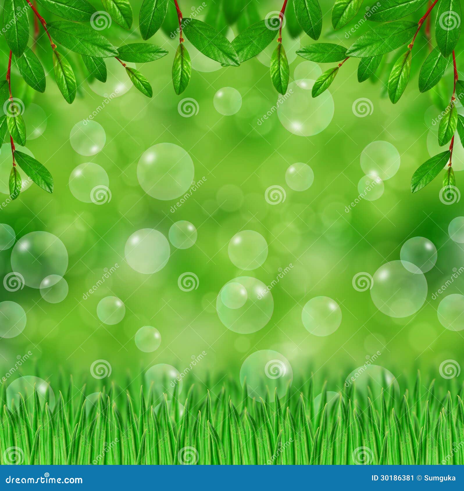 frame unlimited photo free download And Leaves Stock Illustration Soap Bubbles Grass,green frame unlimited photo free download And Leaves Stock Illustration Soap Bubbles Grass,green