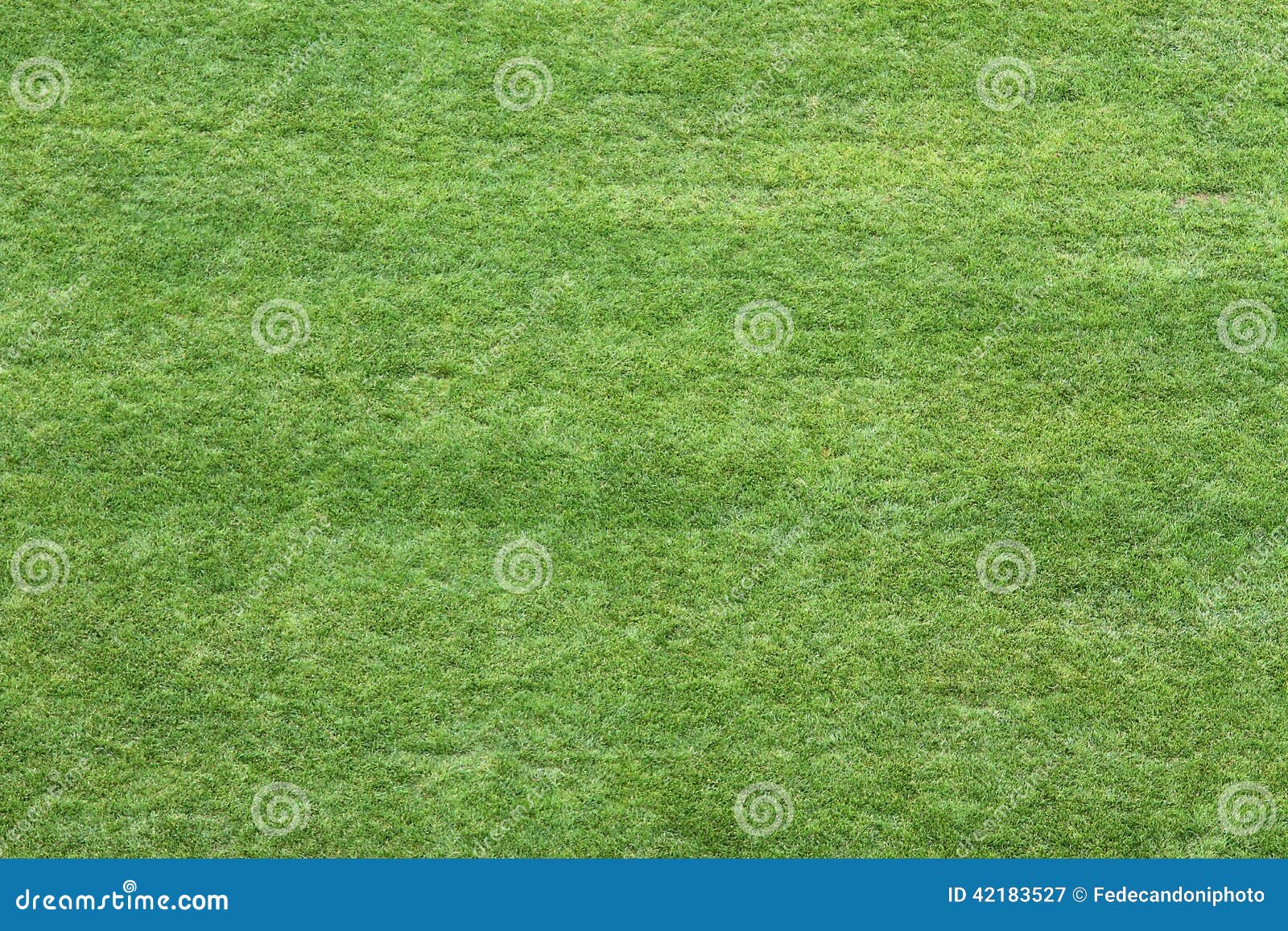 grass green meadow viewed from above to use as wallpaper or back