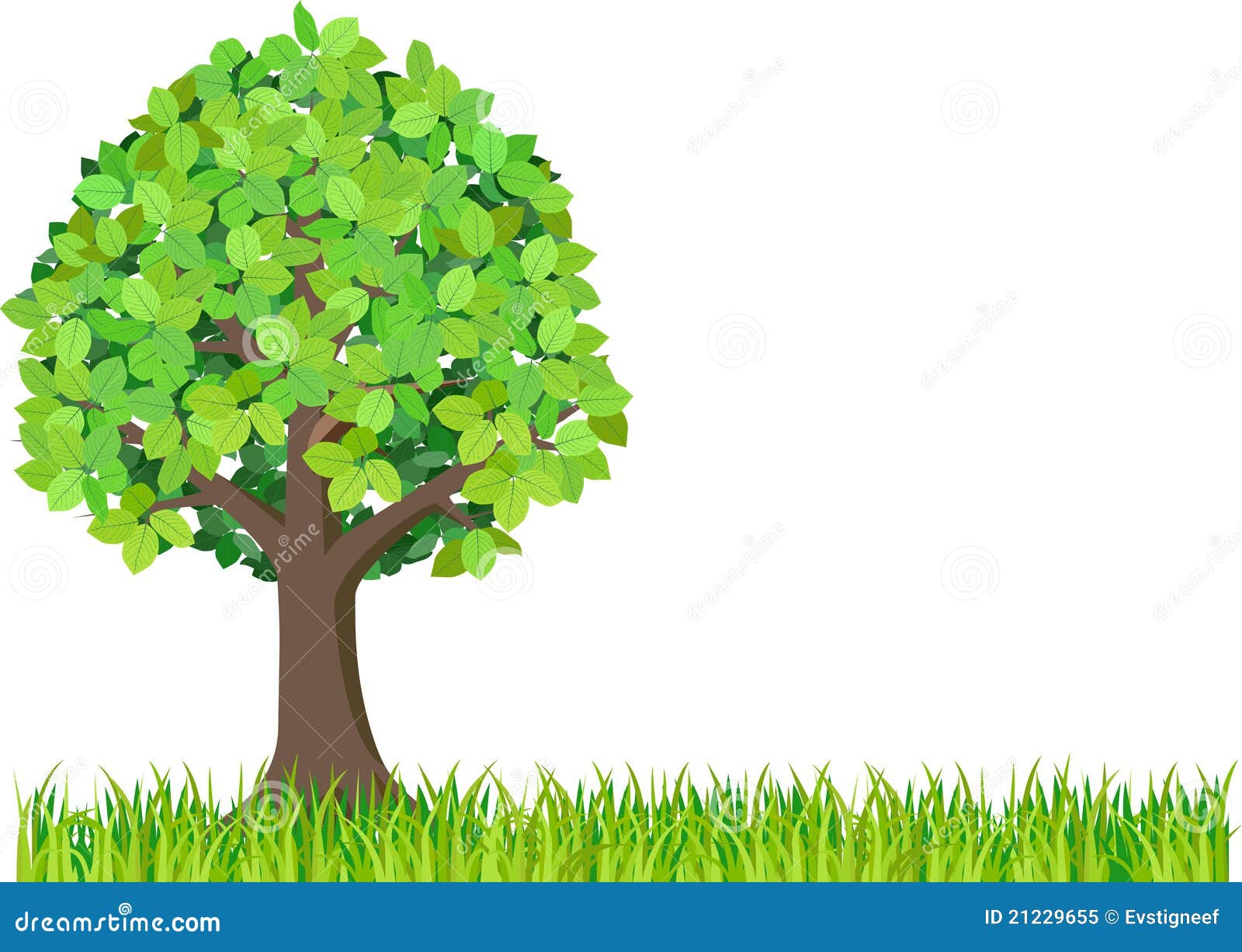 Grass And Green Tree Isolated On White Background Stock ...