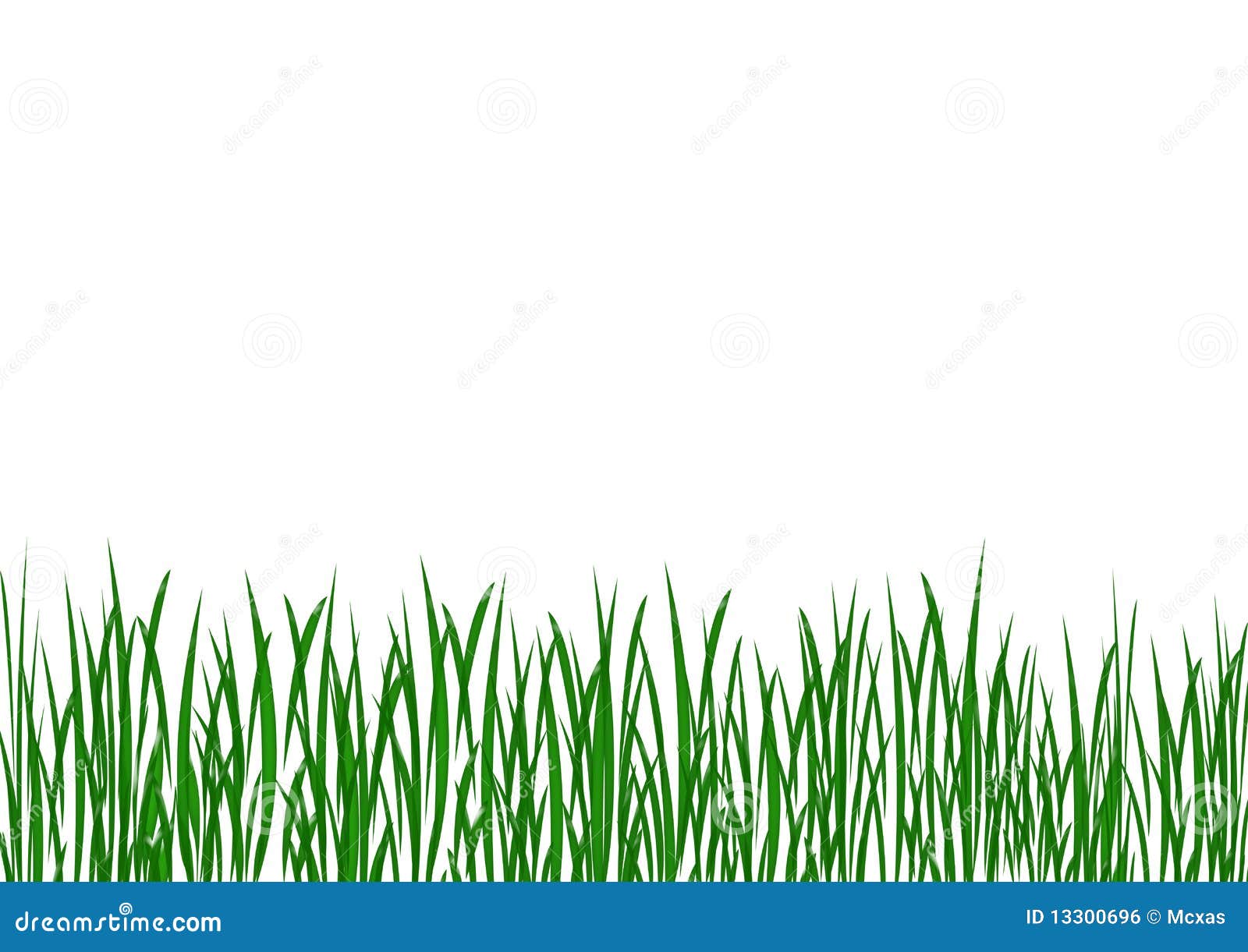 jungle grass clip art - photo #15