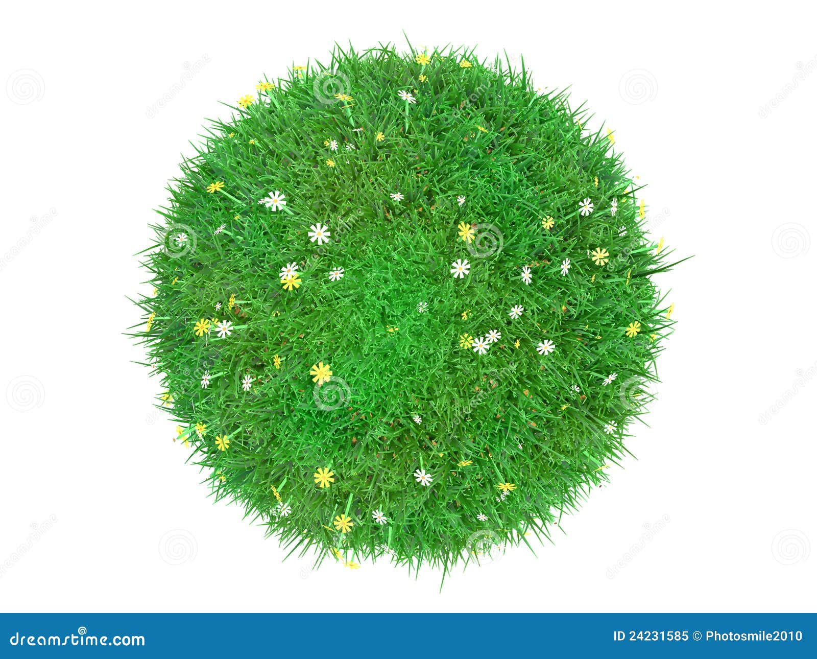 Grass lawn ball stock image. Image of grass, ball, dimensions 24231585