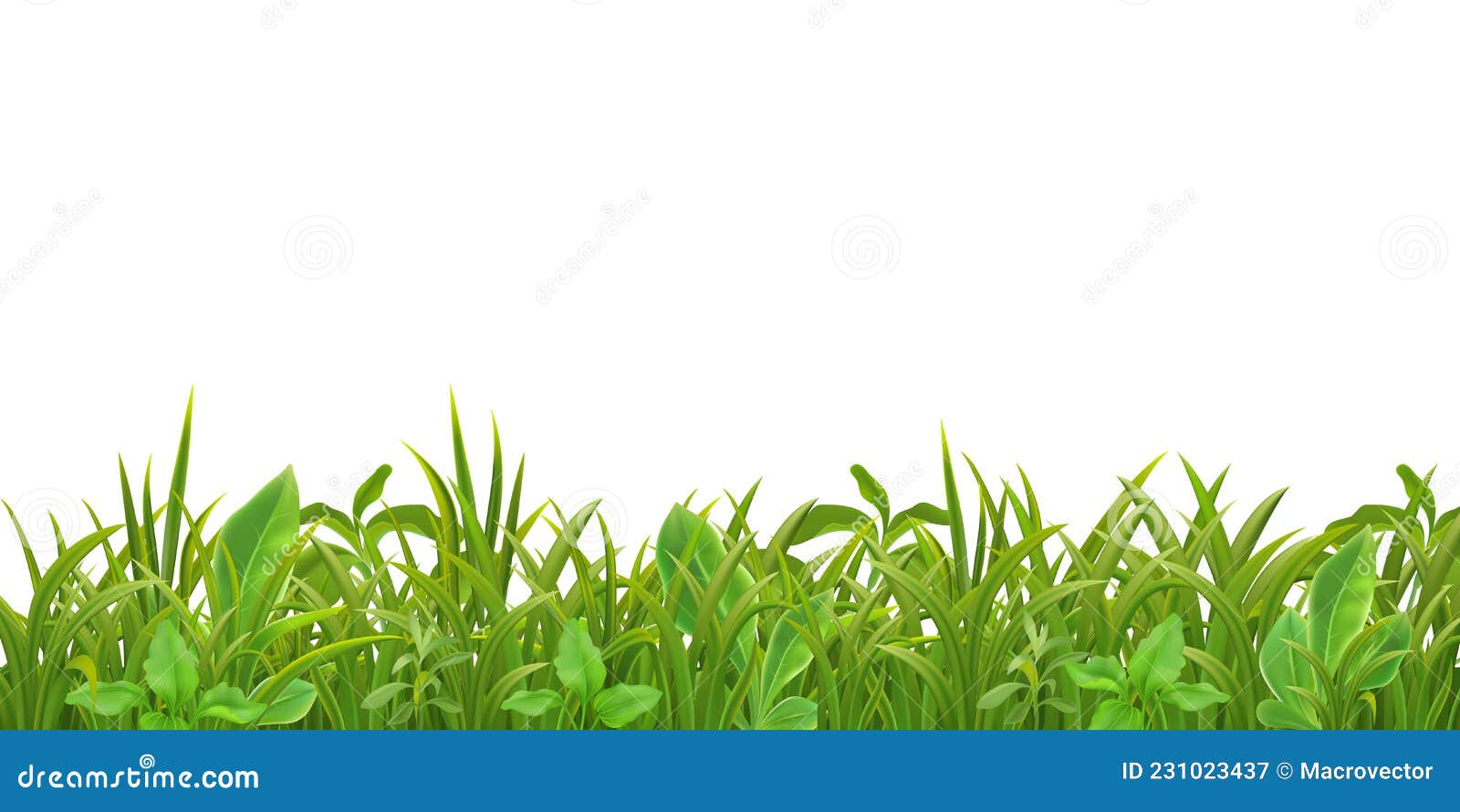 Grass Leaves Seamless Pattern Stock Vector - Illustration of spring ...