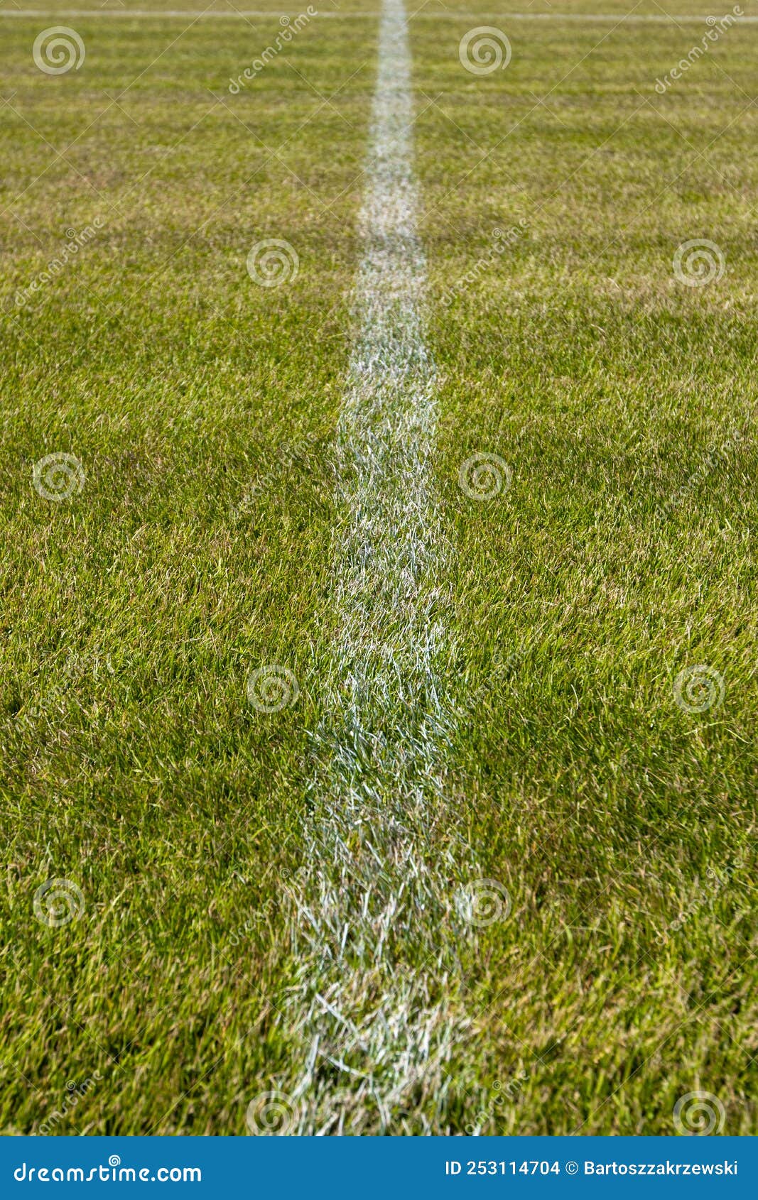 Grass with Lines on a Soccer Field Stock Photo Image of park, outdoor